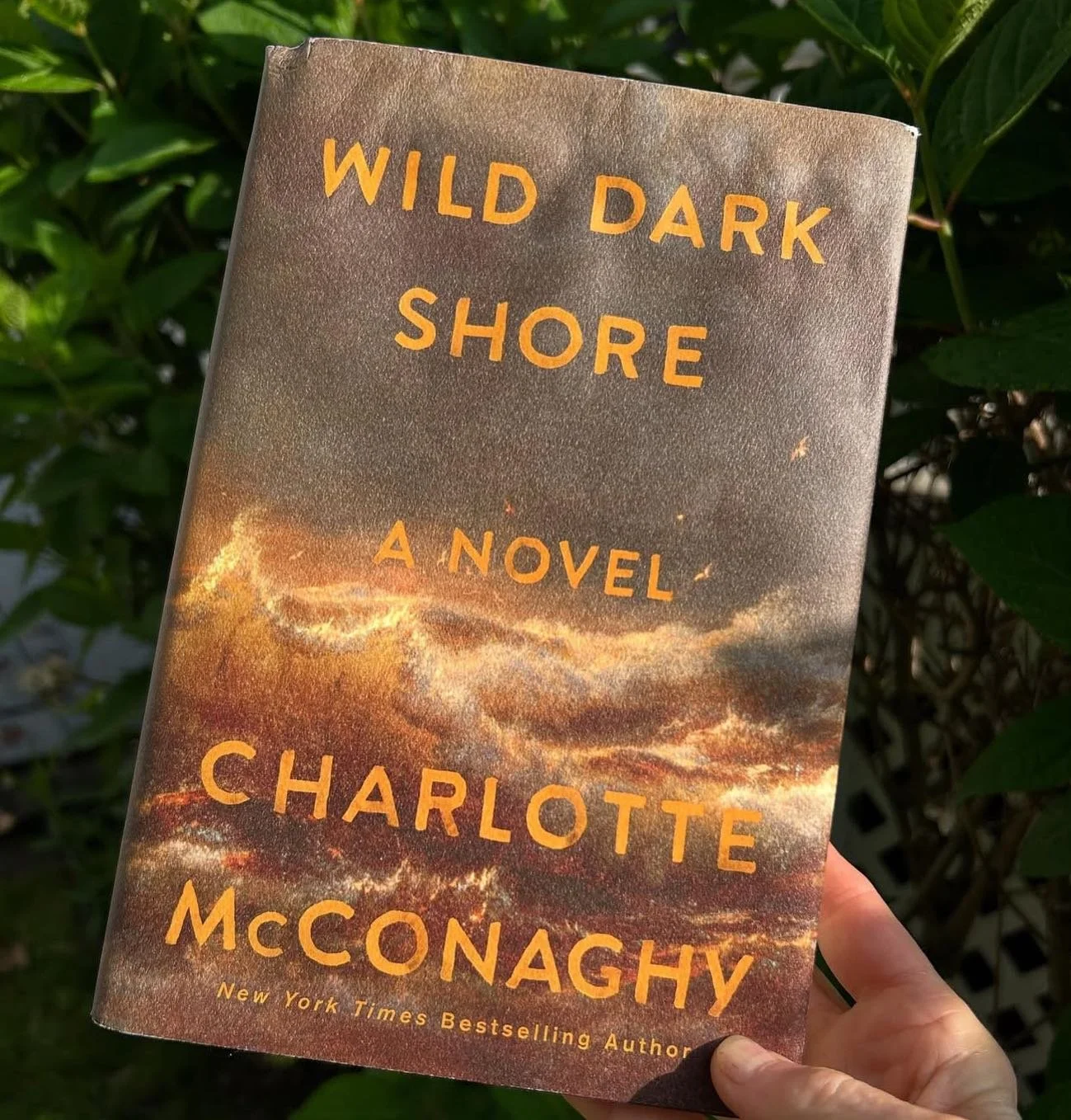 I just finished Dark Wild Shore. It pulled me in with the setting, theme, and atmosphere, but I found myself hoping for a little more than what it gave. Beautiful in parts, but I was left wanting more depth and weight behind the story.