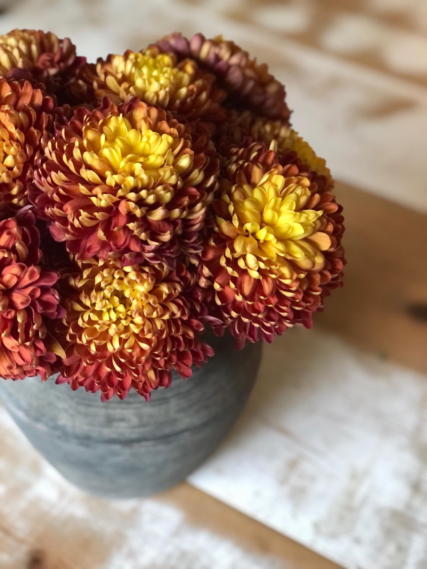 My November color palate🍂 These pretty little flowers have lasted nearly a month but I&rsquo;m slowly letting the dry out so I can add them to my current dried flower arrangement and enjoy them a lot longer✨