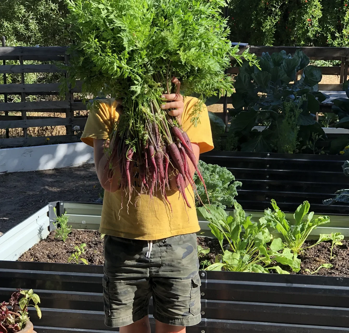 Finding Joy in a Simple Summer