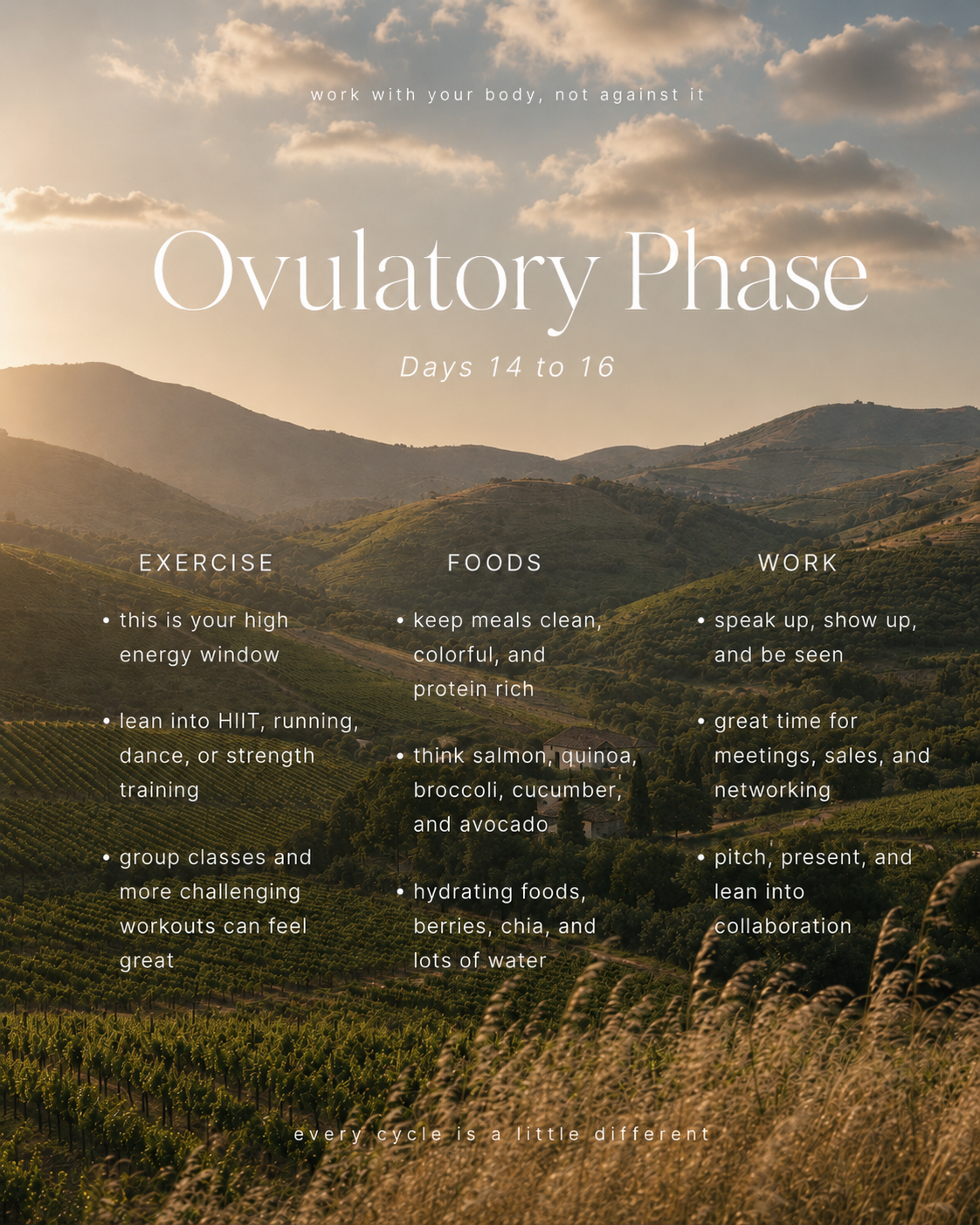 OVULATORY.png