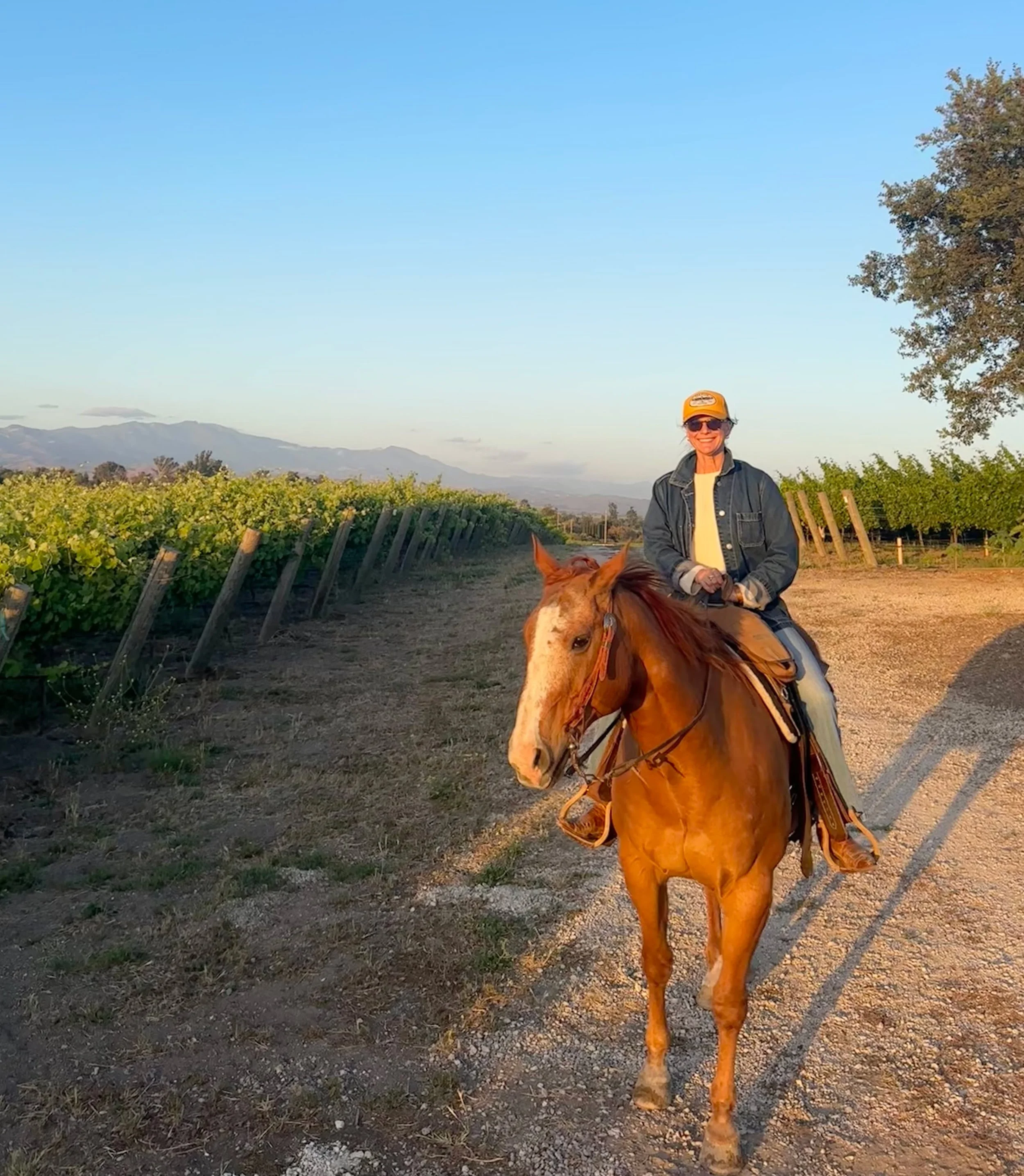 Sunset cruises look different in Santa Ynez. We don't need an ocean...Just golden hills, beautiful vineyards, great horses, and even better company.