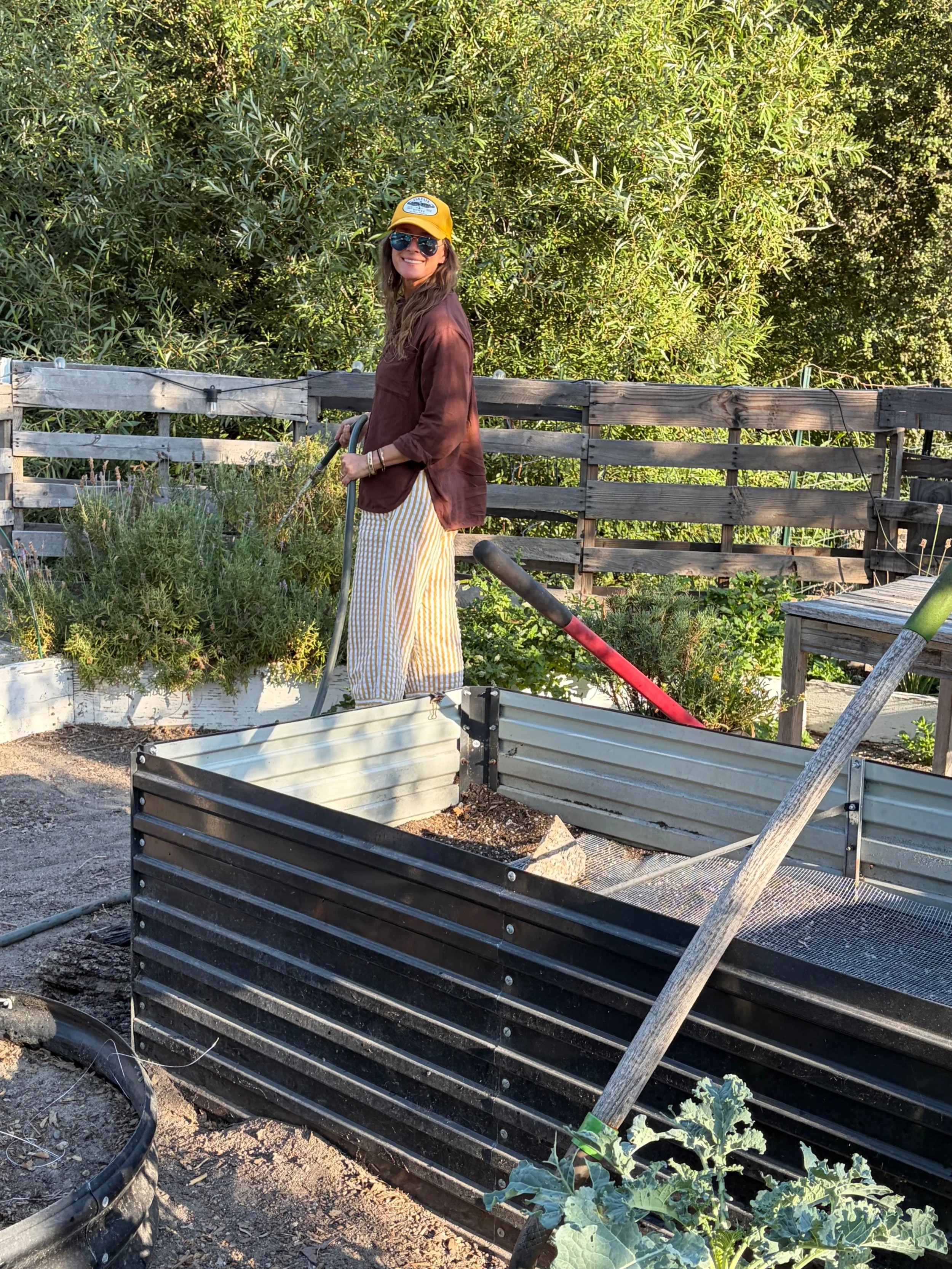 Every summer, the garden is my greatest experiment.
And of all my summer gardens, this one has probably been the worst.

I have dug out beds, replanted almost everything, redone gopher wire, ripped out old plants, you name it, I have done it. The gop
