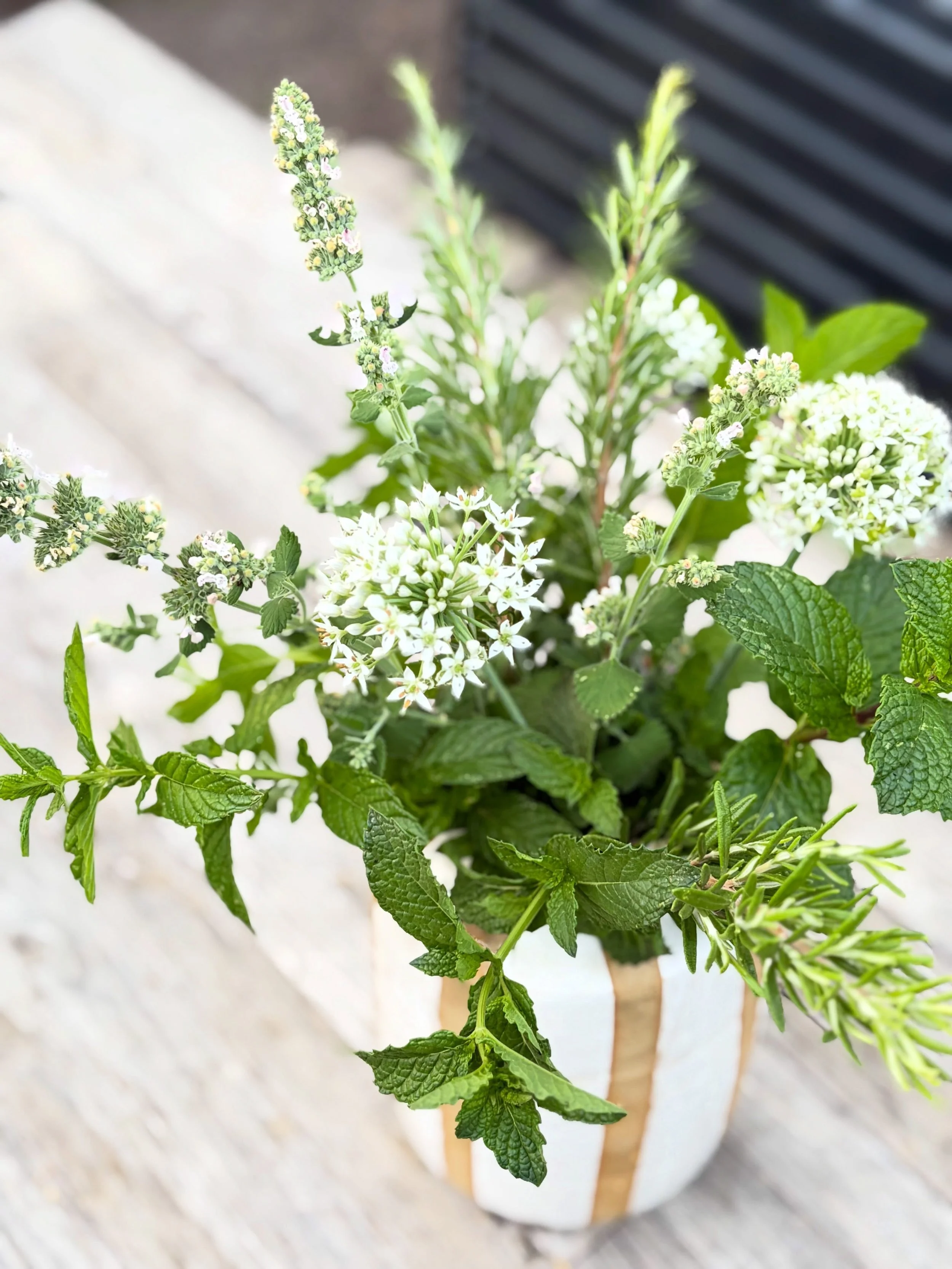 I was hoping to grow cut flowers in the garden this summer&hellip;this is a close second 🌿