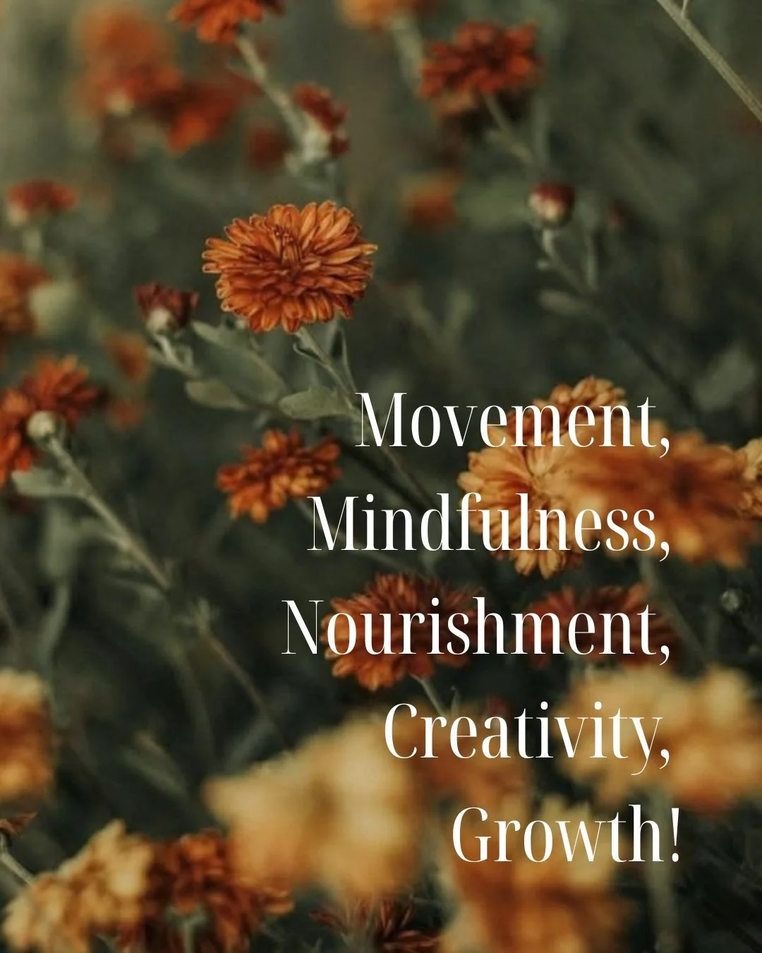 Movement. Mindfulness. Nourishment. Creativity. Growth.

That&rsquo;s what Wine Country Wellness is all about. A day to celebrate The Art of Living Well. A day to slow down, move your body, eat well, create something with your hands, set your intenti