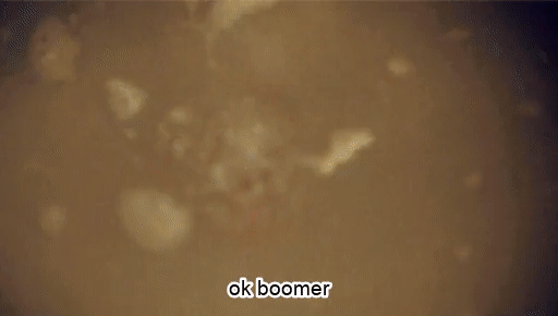 OK Boomer: Hannibal Reaction GIF