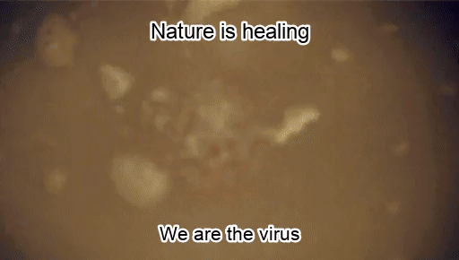 Nature is healing, We Are the Virus: Hannibal Reaction GIF