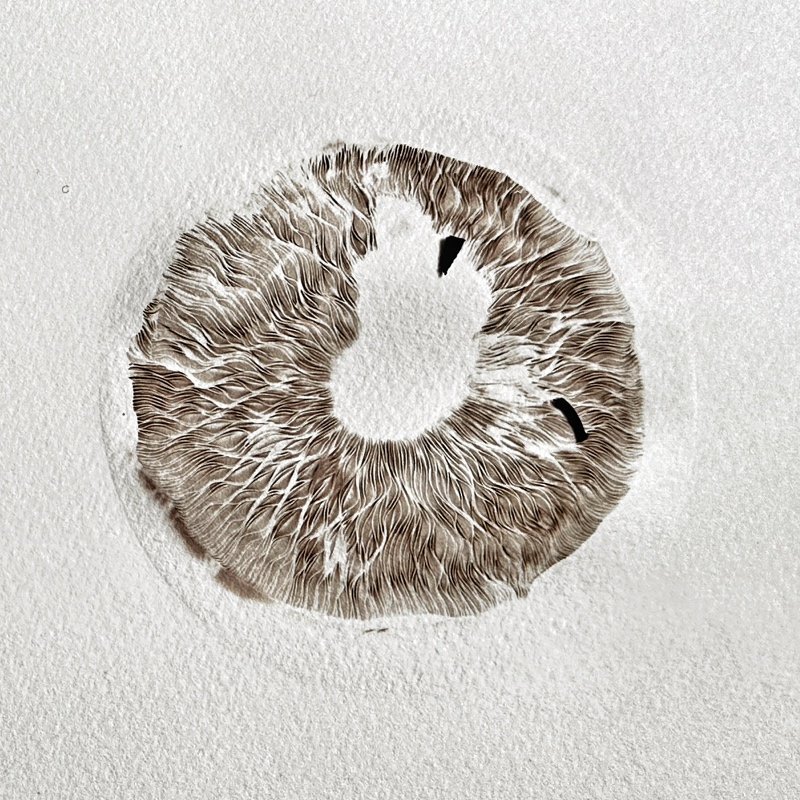 ART WORKSHOP: Spore Printing with Resident Artist Pollyanna Day