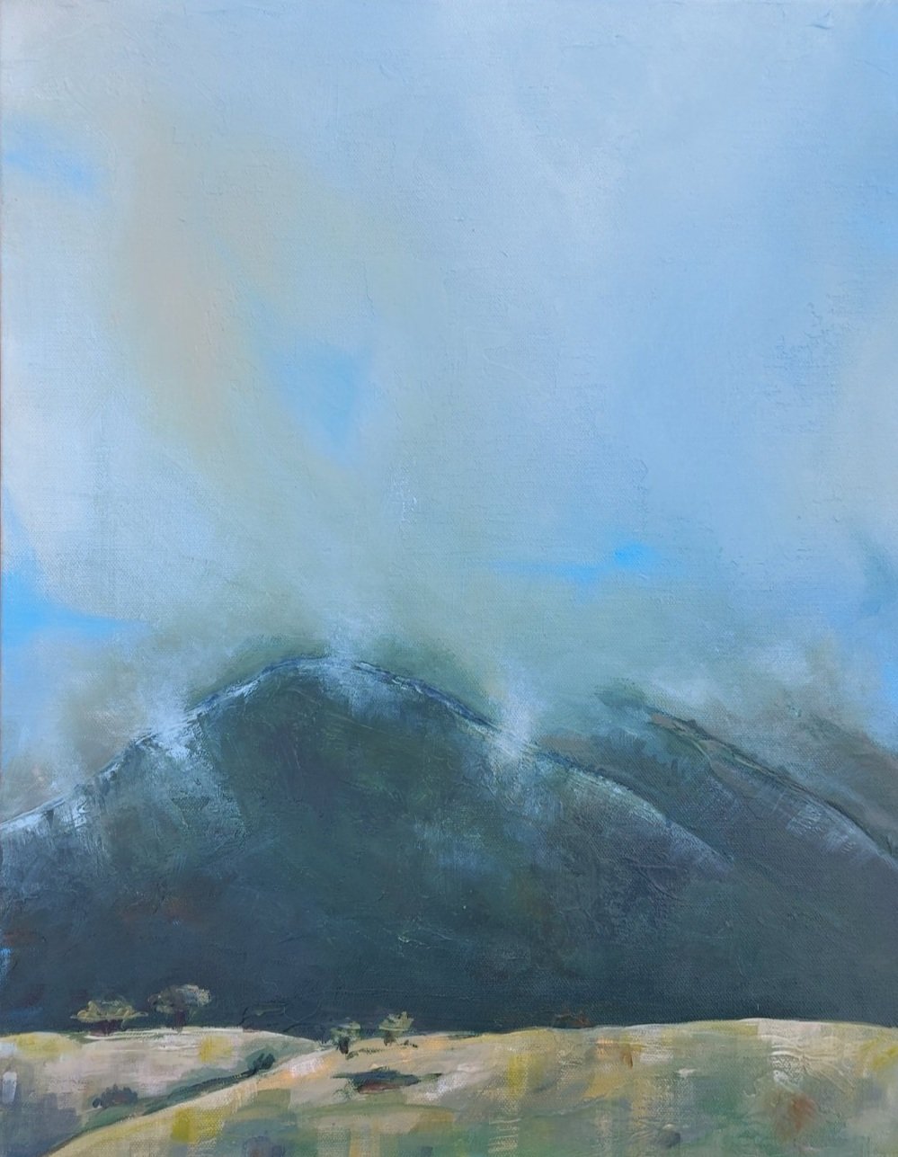 EXHIBITION: Zuzanna Karolewska ~ Otway Horizons Opening and Artist Resiency.