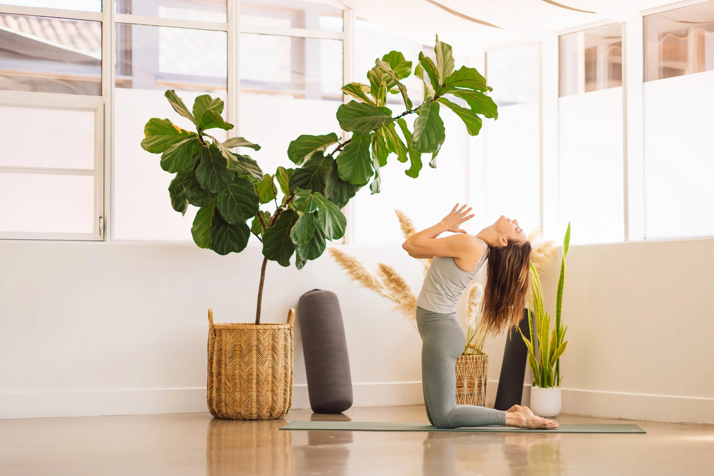 Flow with Yin