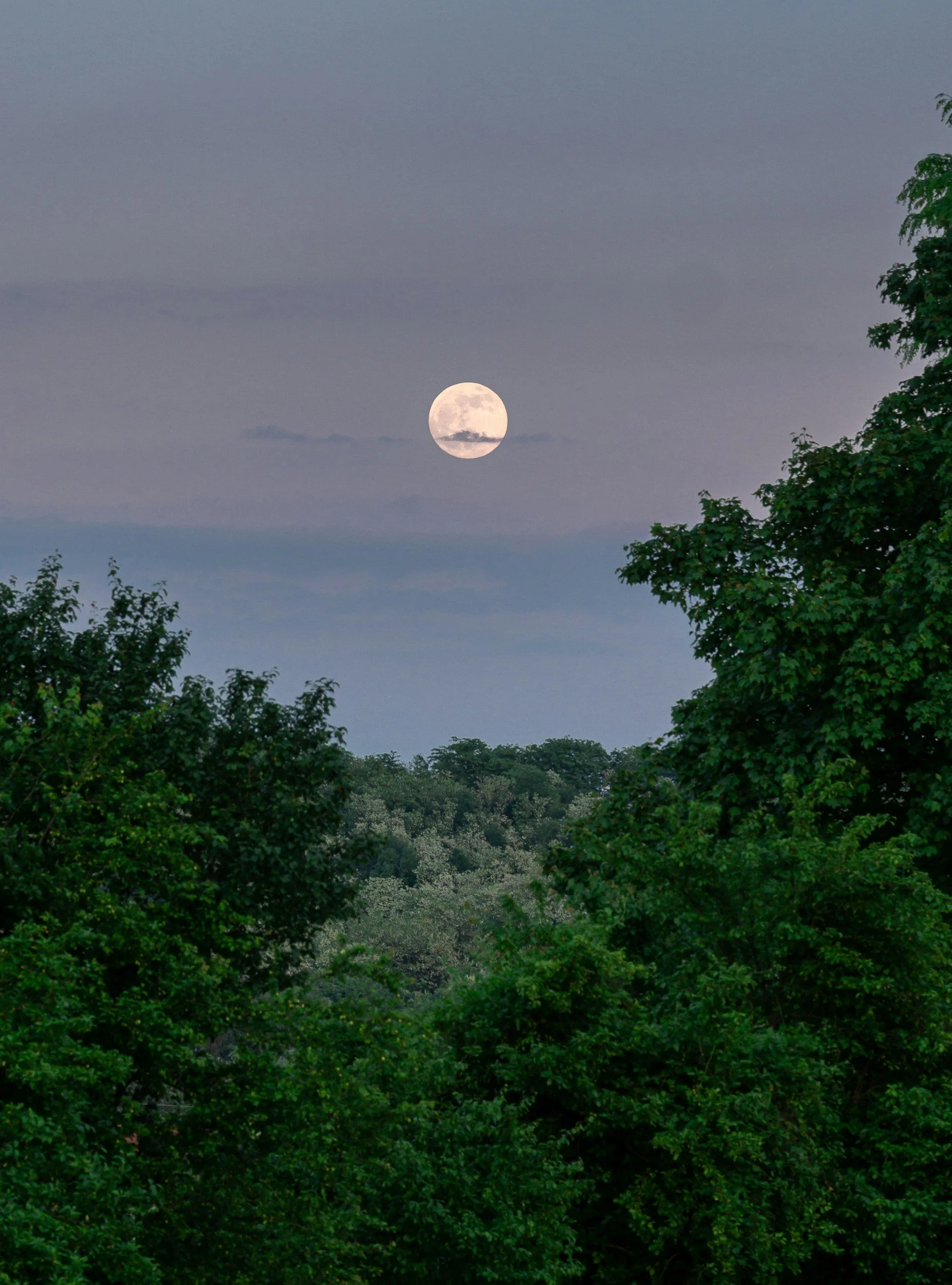 Full Moon, Sunset Stroll ~ Unwind &amp; Roll Out Your Tension w/ Marla Wedge
