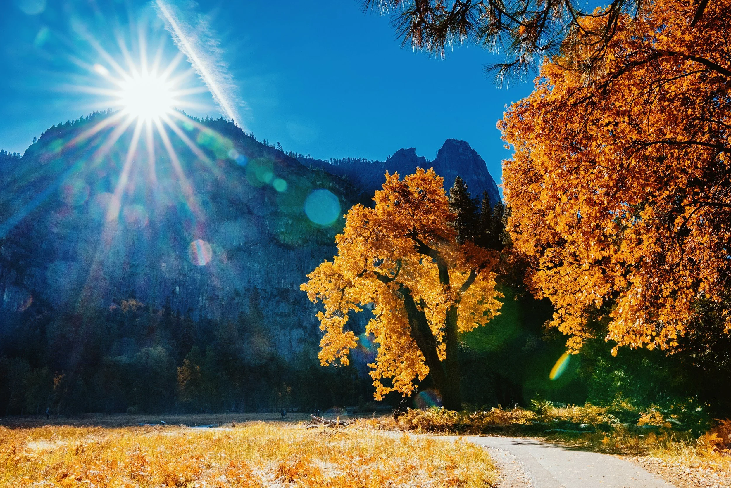 Harvest &amp; Exhale: A Fall Equinox Ritual • Restorative Yoga &amp; 108 Breaths with Suzy &amp; Angela