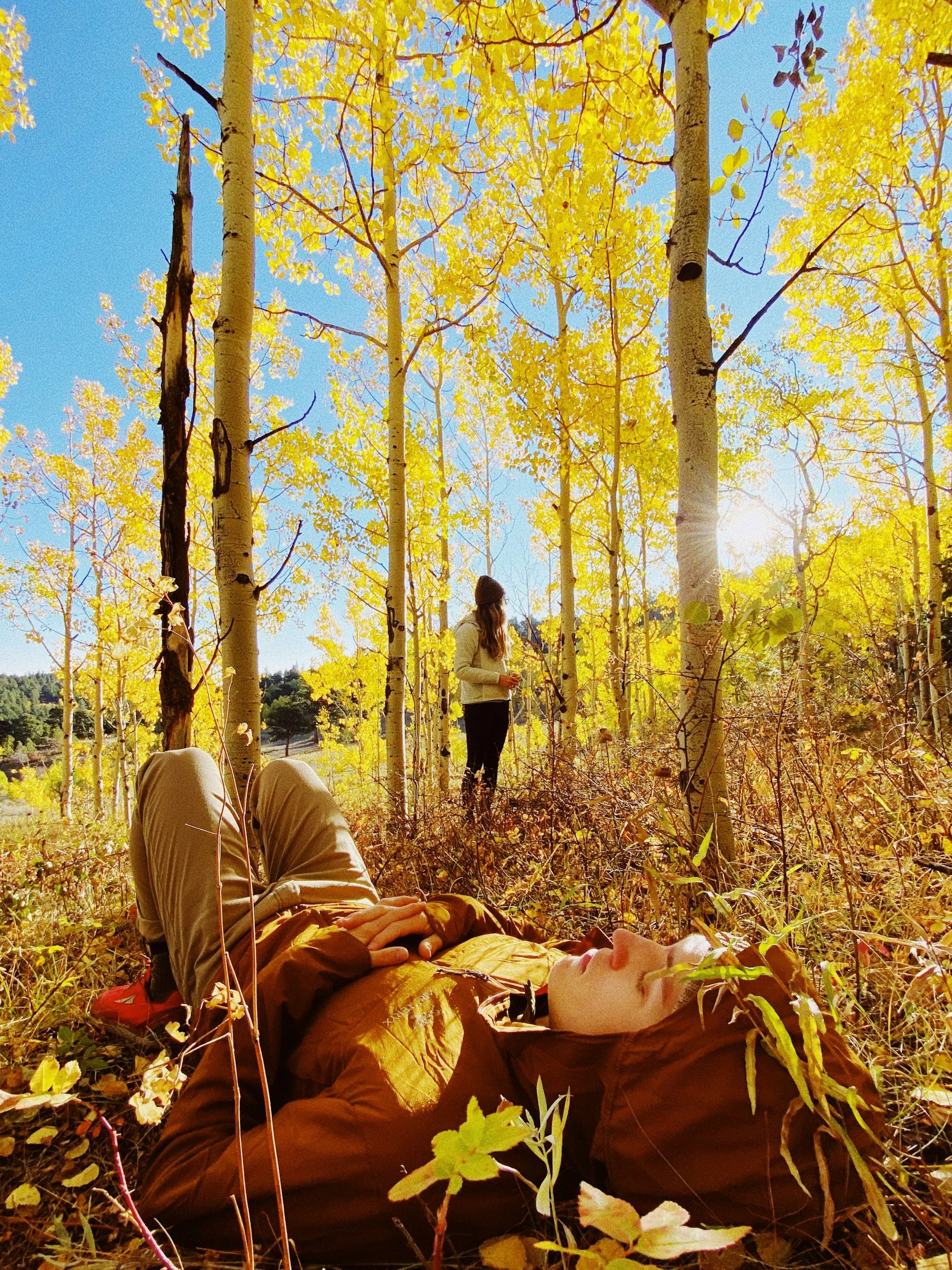 Therapeutic Yoga Path: Yin &amp; Restorative Yoga, Breath-work, Meditation &amp; Somatics with Suzy Nece &amp; Shelley Williams