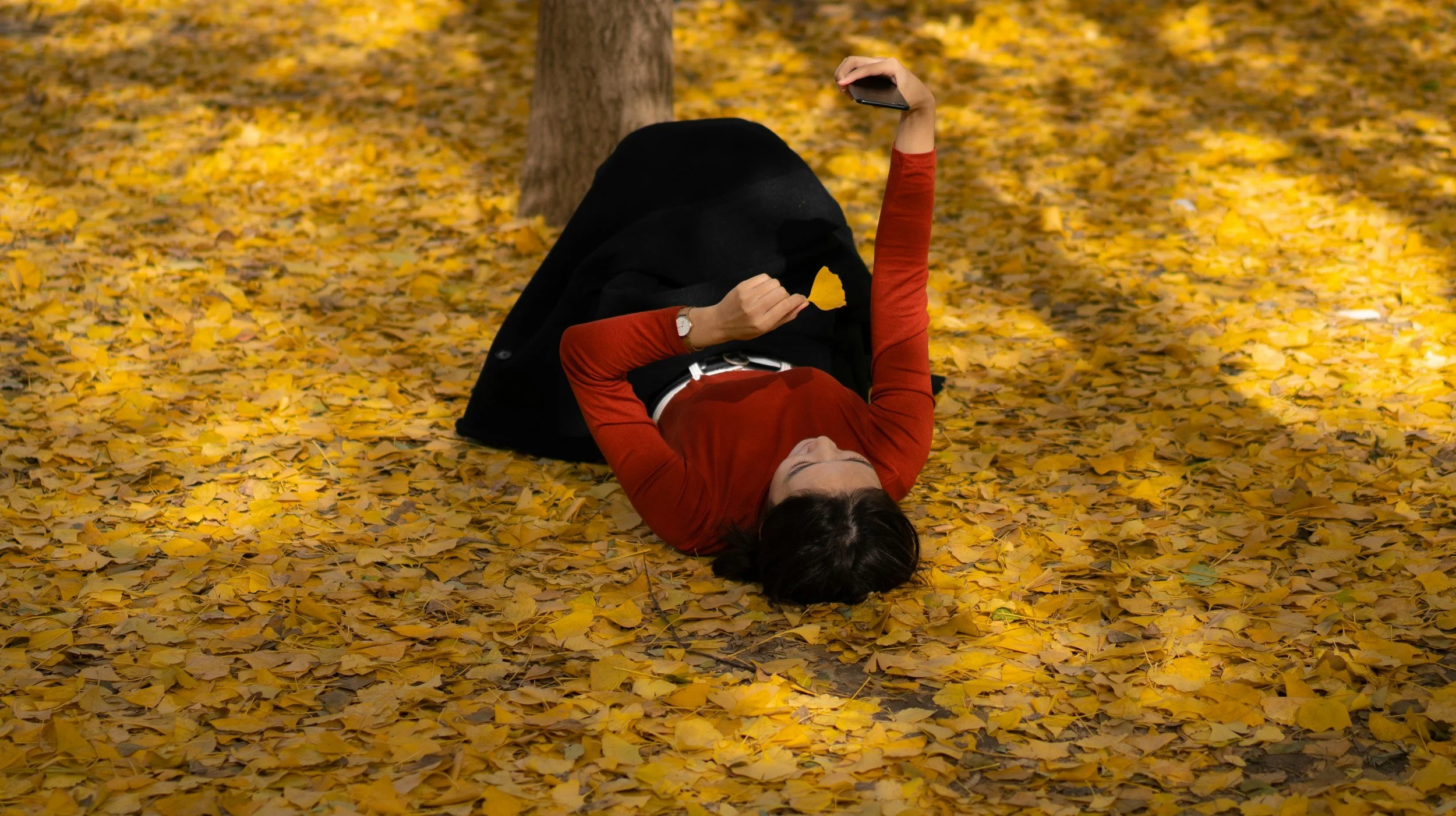 Fall Into Yin: Tues &amp; Thurs Evenings w/ Samie