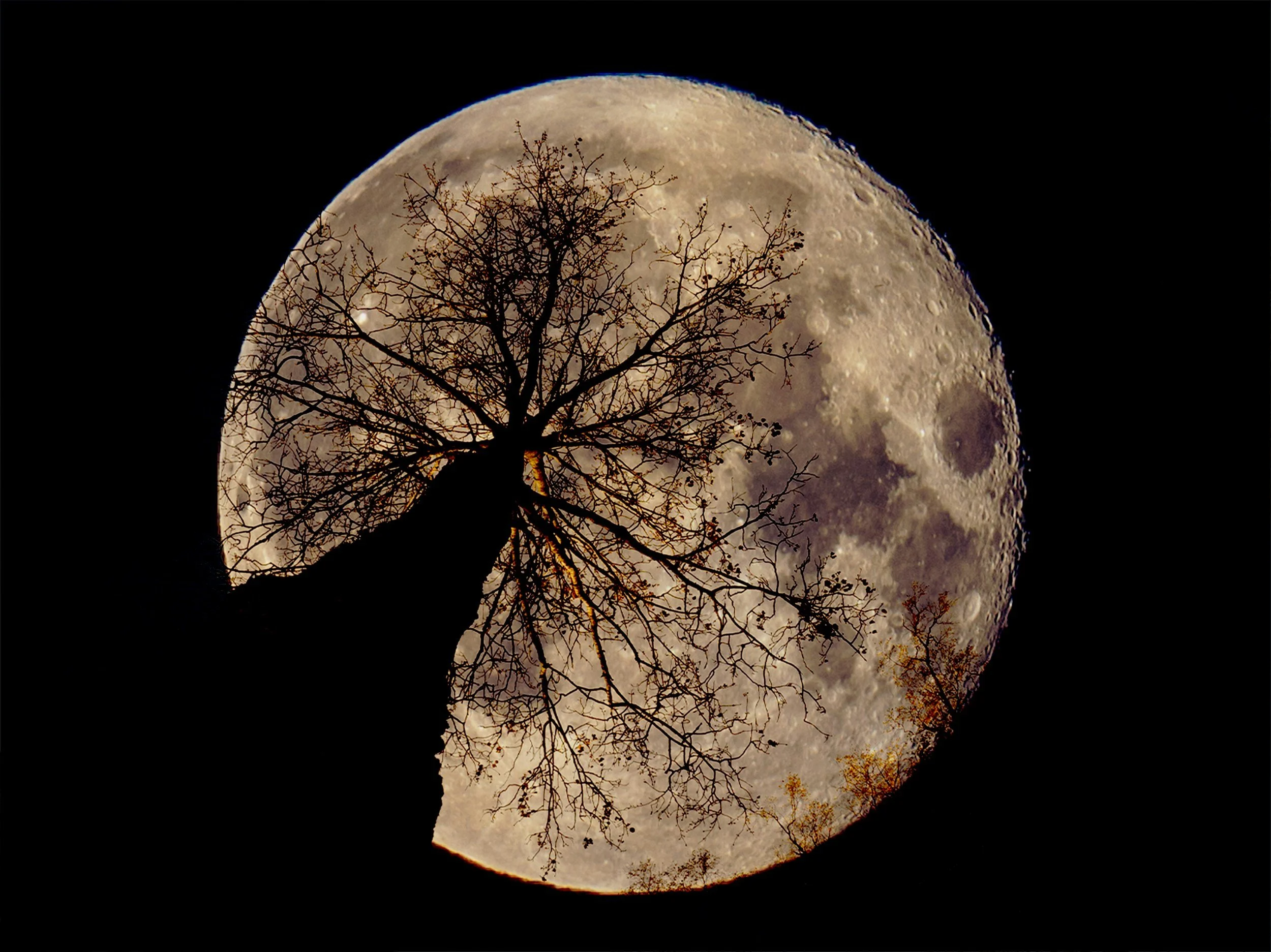 Full Moon Rituals w/ Christina Powers