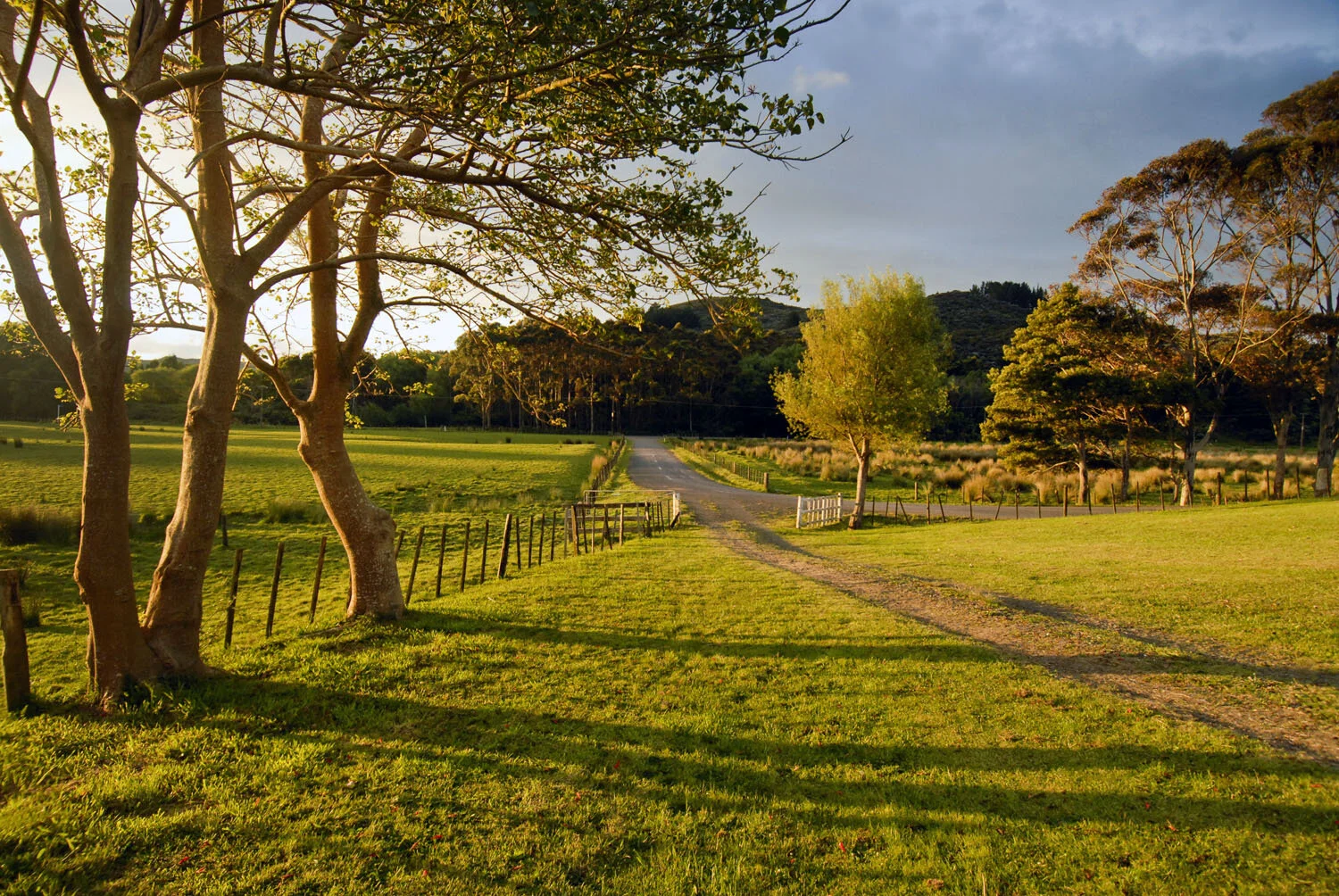 Early morning at Morehu Marae