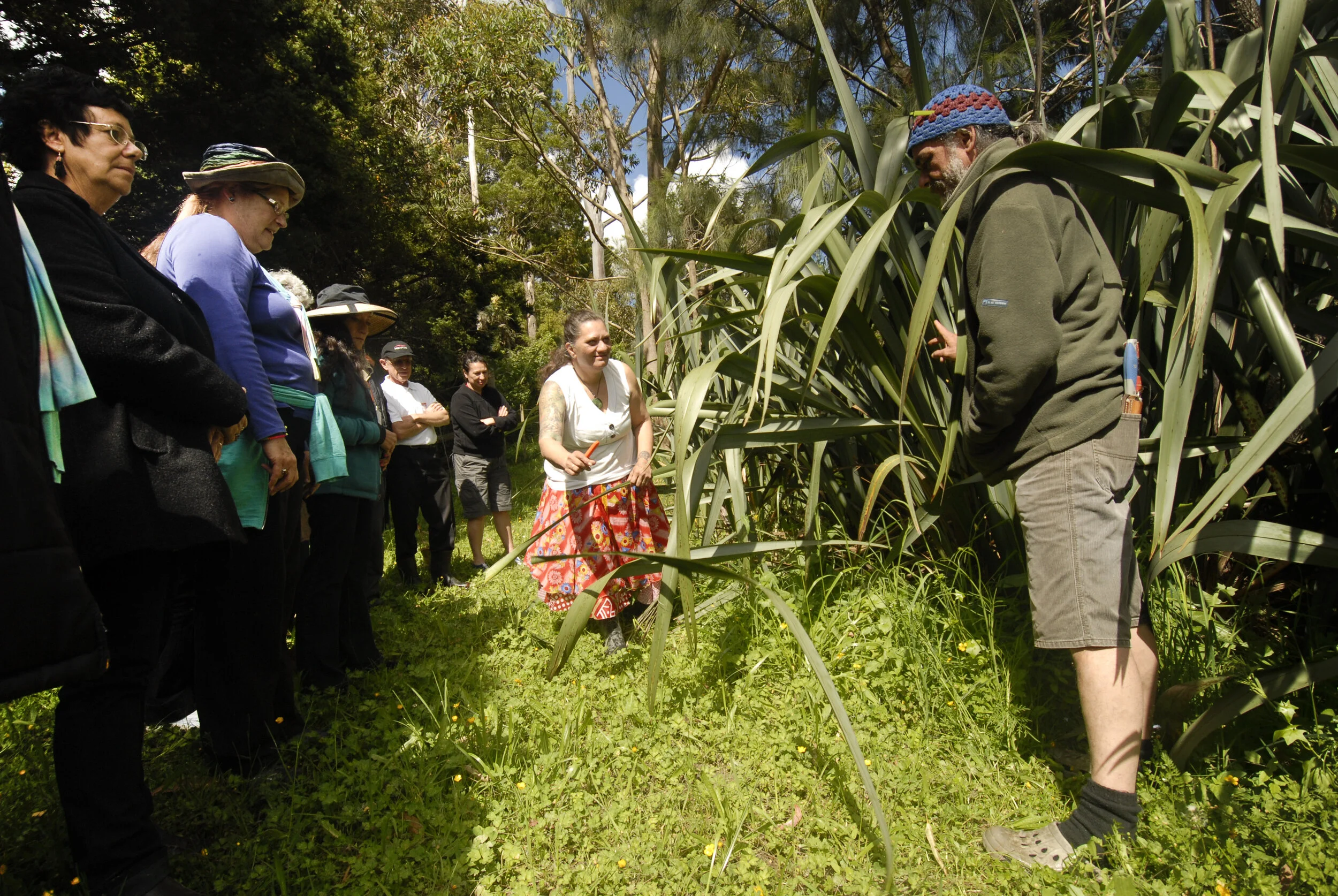 Inspected and learning about Flax