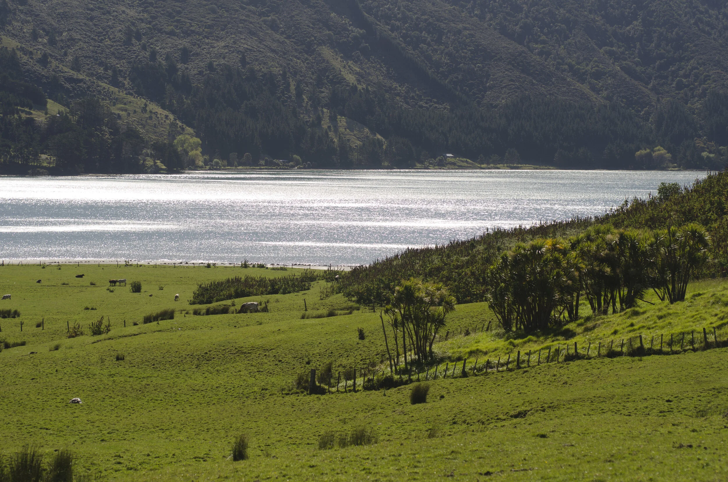 _DSC9974.JPG