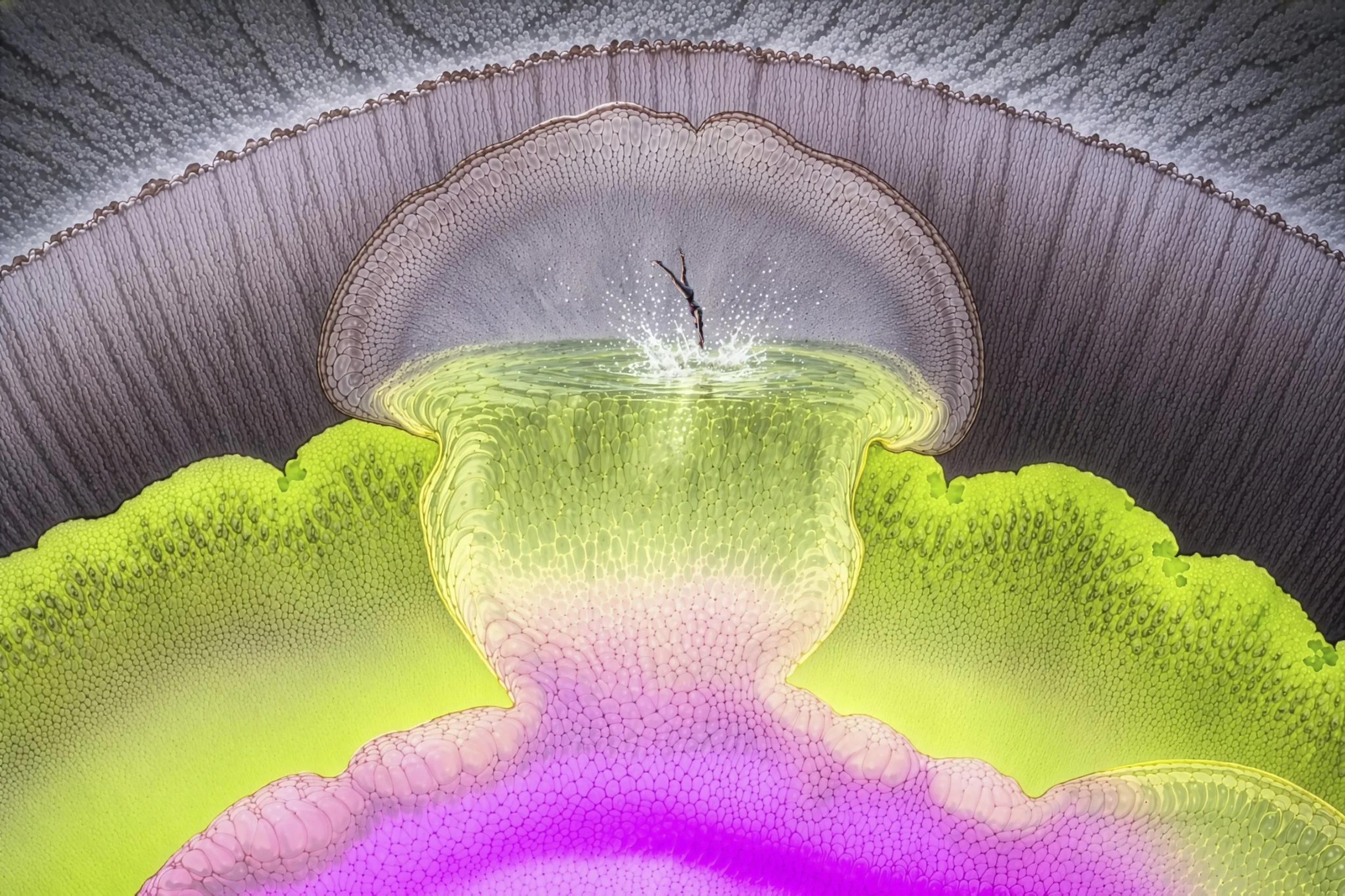 xLuminous underwater descent in alien pool Firefly Upscaler 2x scale.jpg