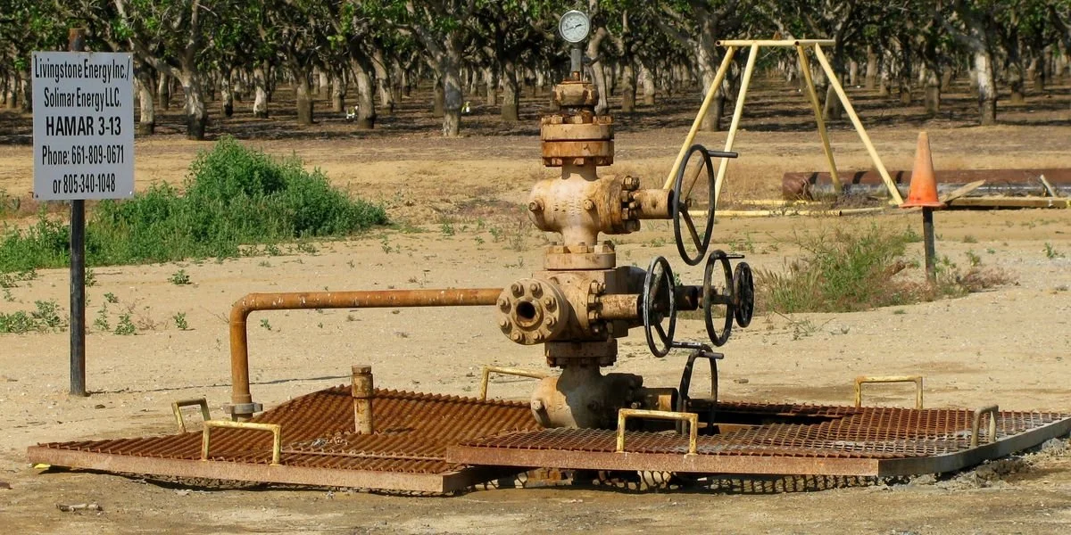 The Pandemic of Orphaned Wells