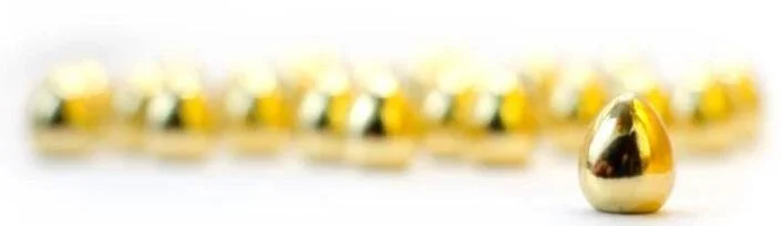 wingspan-wyrmspan-golden-eggs-129385_f0451.jpg