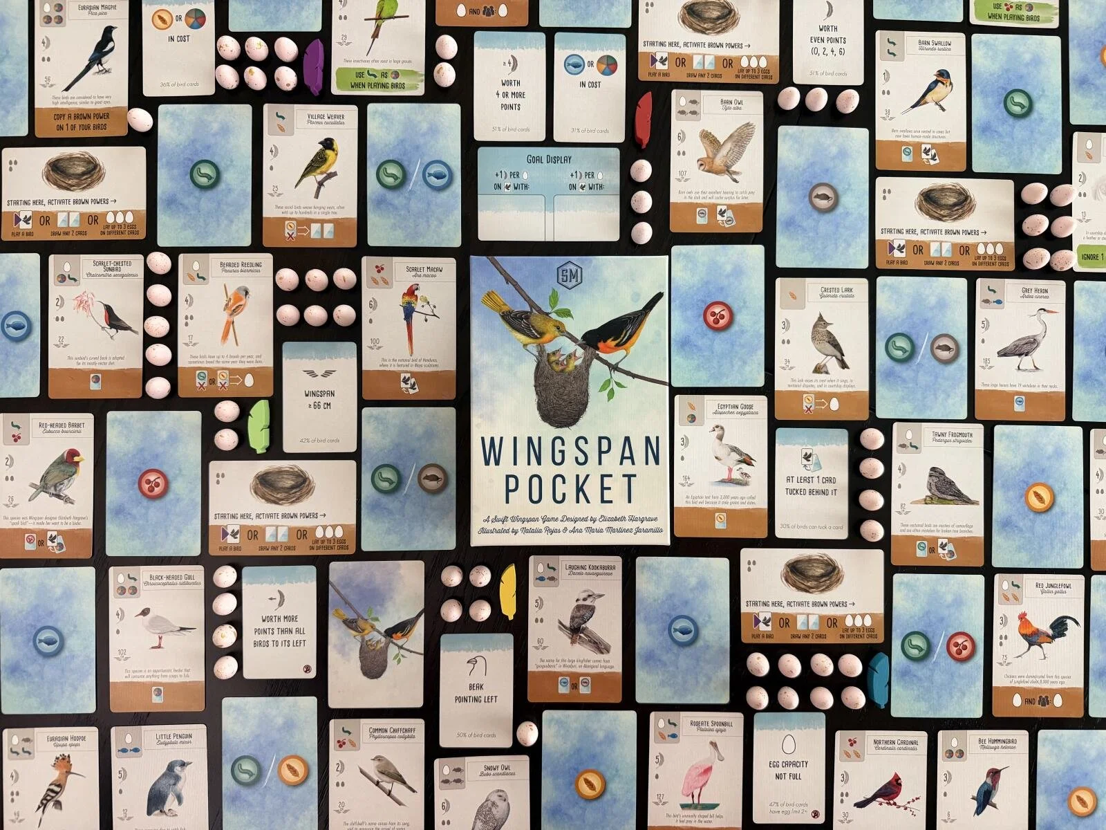 wingspan-pocket-134132_4a118.jpg