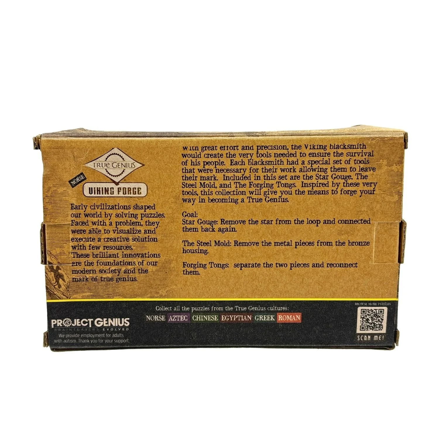 Project Genius - TG446 - Viking Forge (7).jpg