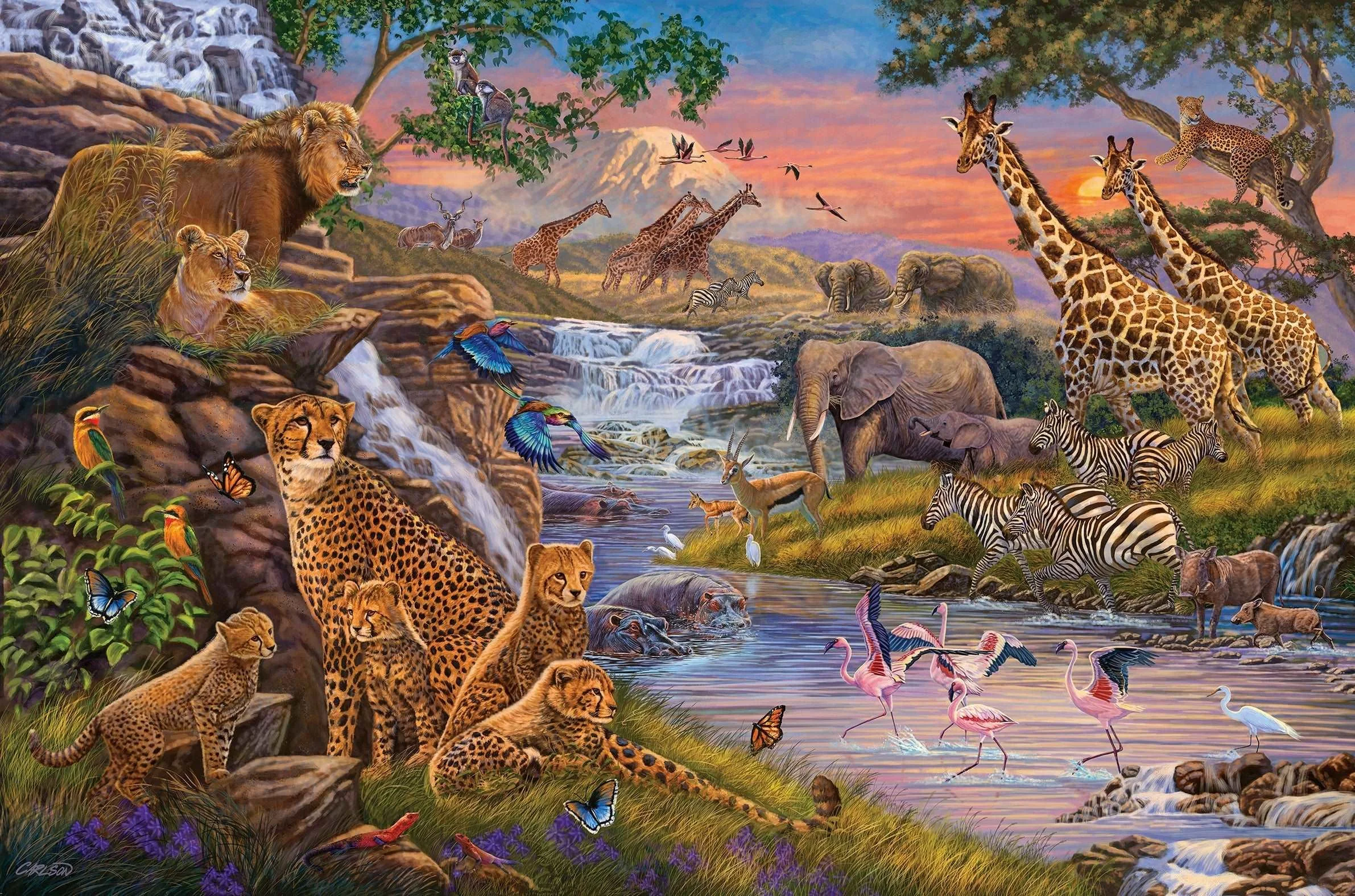 Ravensburger-Animal-Kingdom-3000-pieces-Ravensburger-Australia-7912-_1_2382x1575.jpg