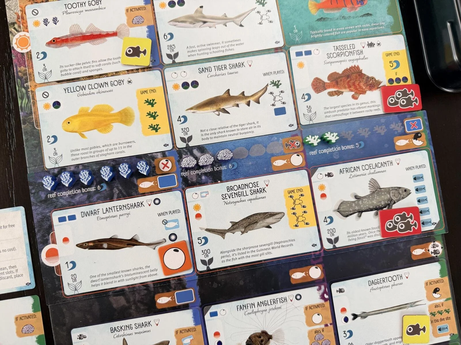 finspan-sharks-reefs-expansion-130763_4c40a.jpg