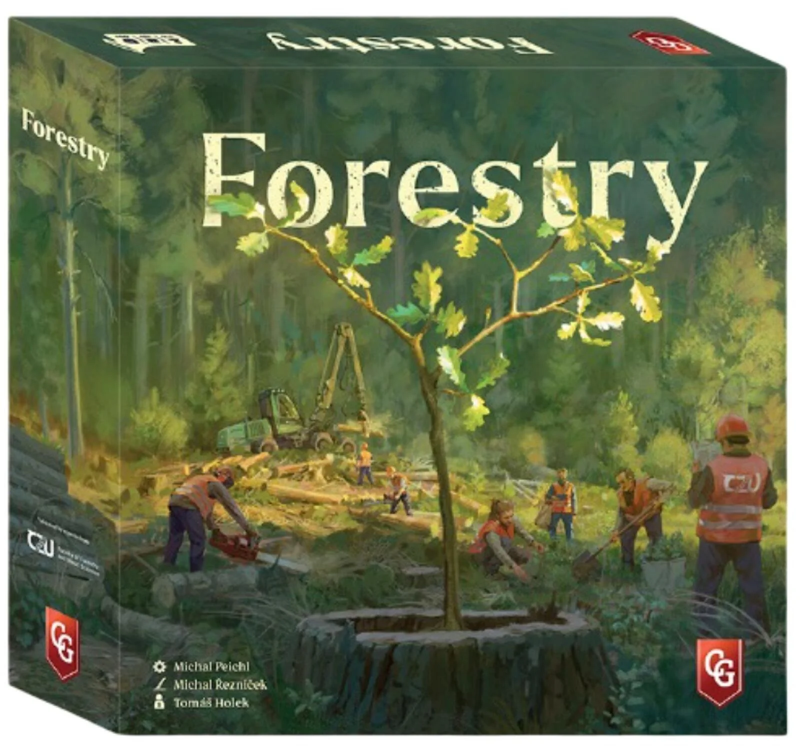 forestry-128754_f0efb.jpg