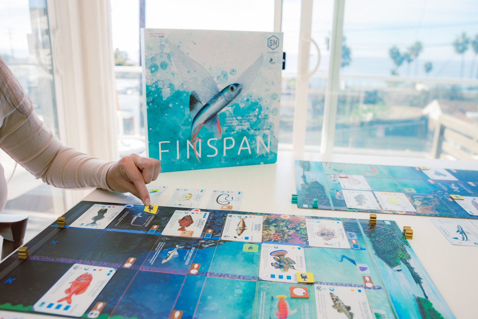 finspan-122306_38109.jpg