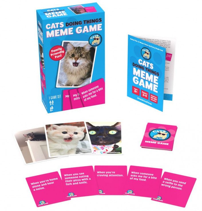 cats-doing-things-meme-game--89056_0faa0.jpg