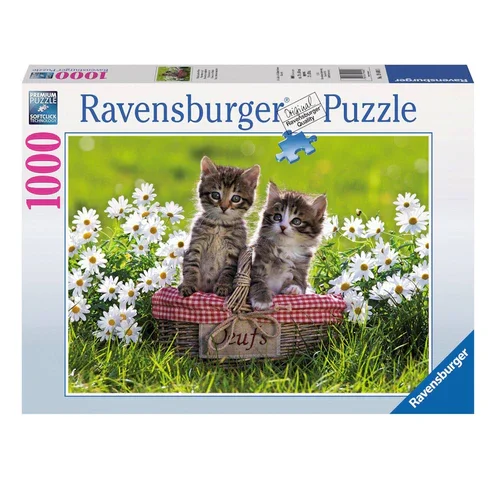Ravensburger - Picnic in the Meadow Puzzle 1000 Pieces