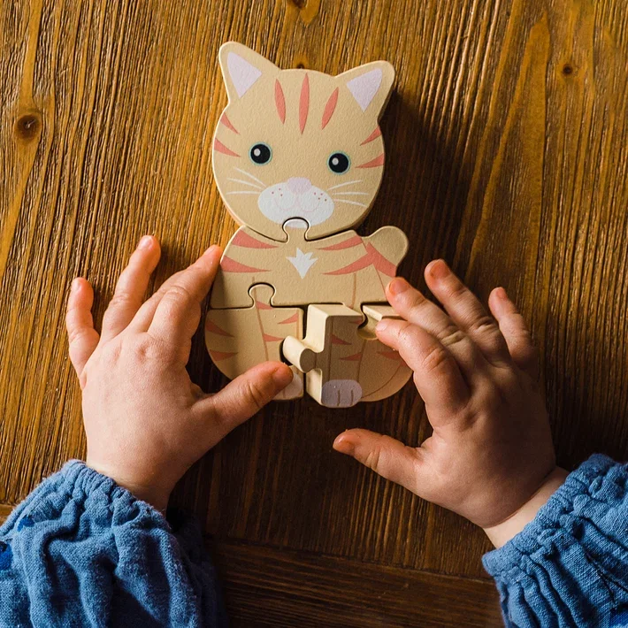 PUZZLE-CAT_LIFESTLYE_4_710x710.webp