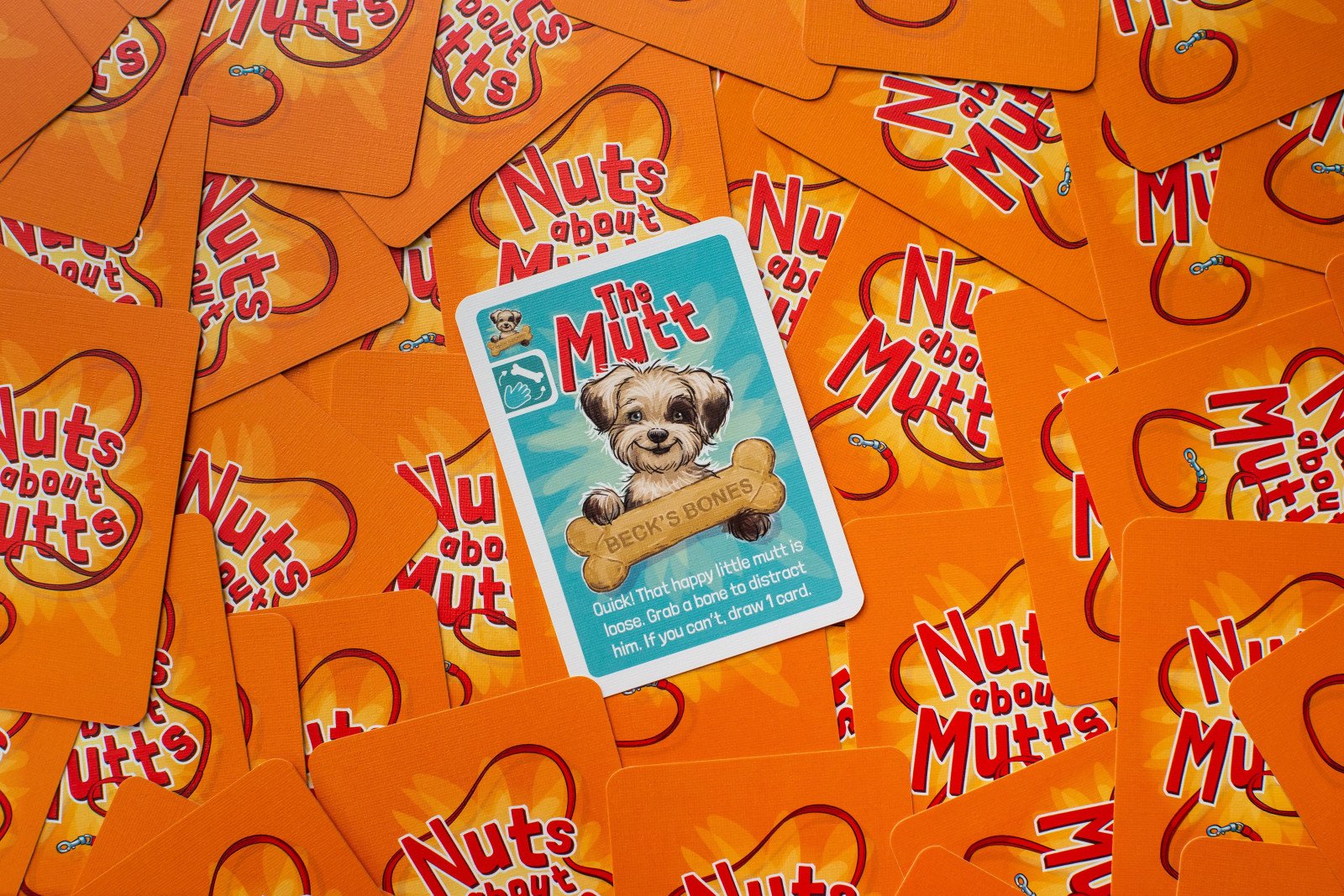 nuts-about-mutts-116881_3334d.jpg
