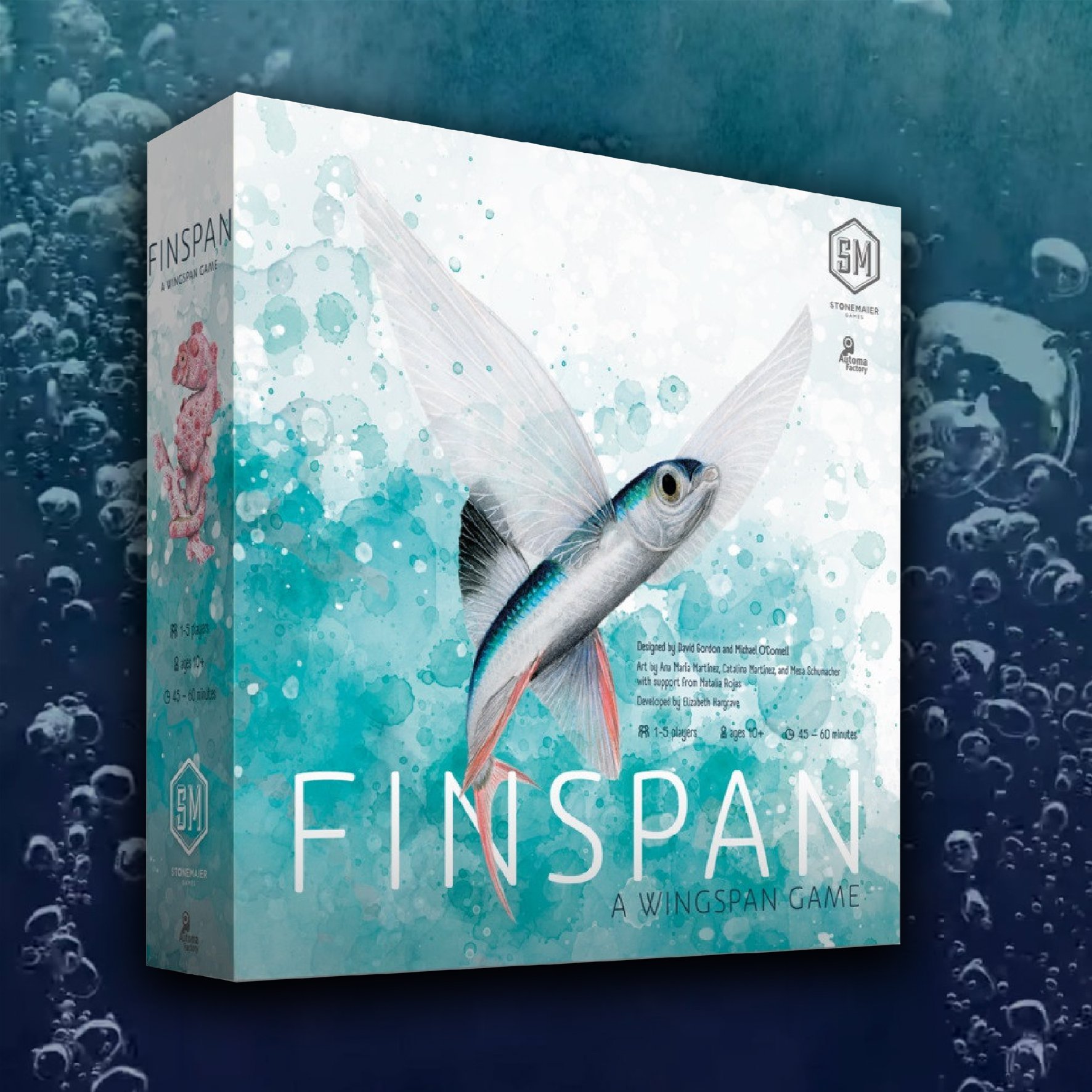 Finspan_Escape_Boardem.jpg