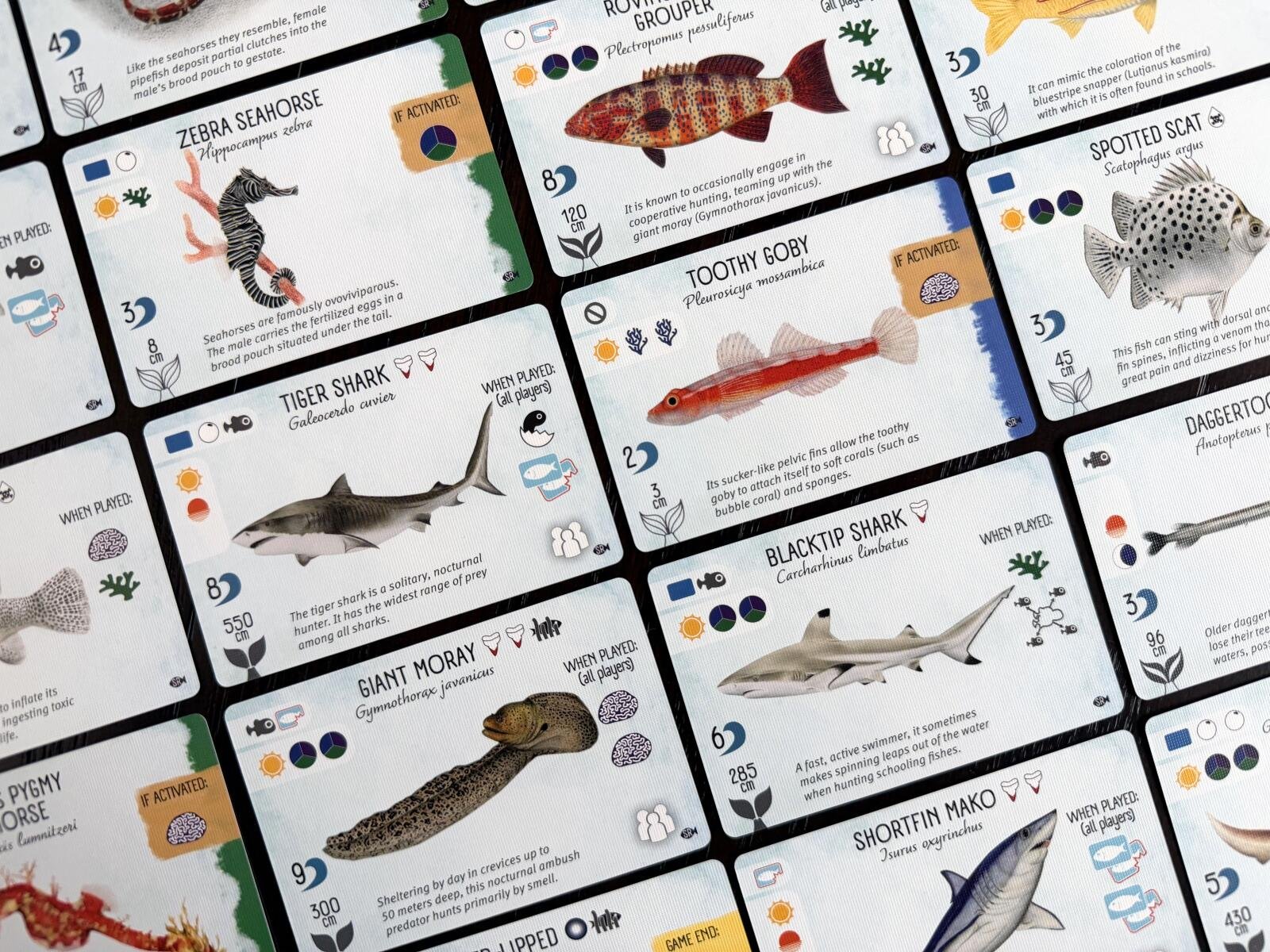 finspan-sharks-reefs-expansion-130763_362c5.jpg