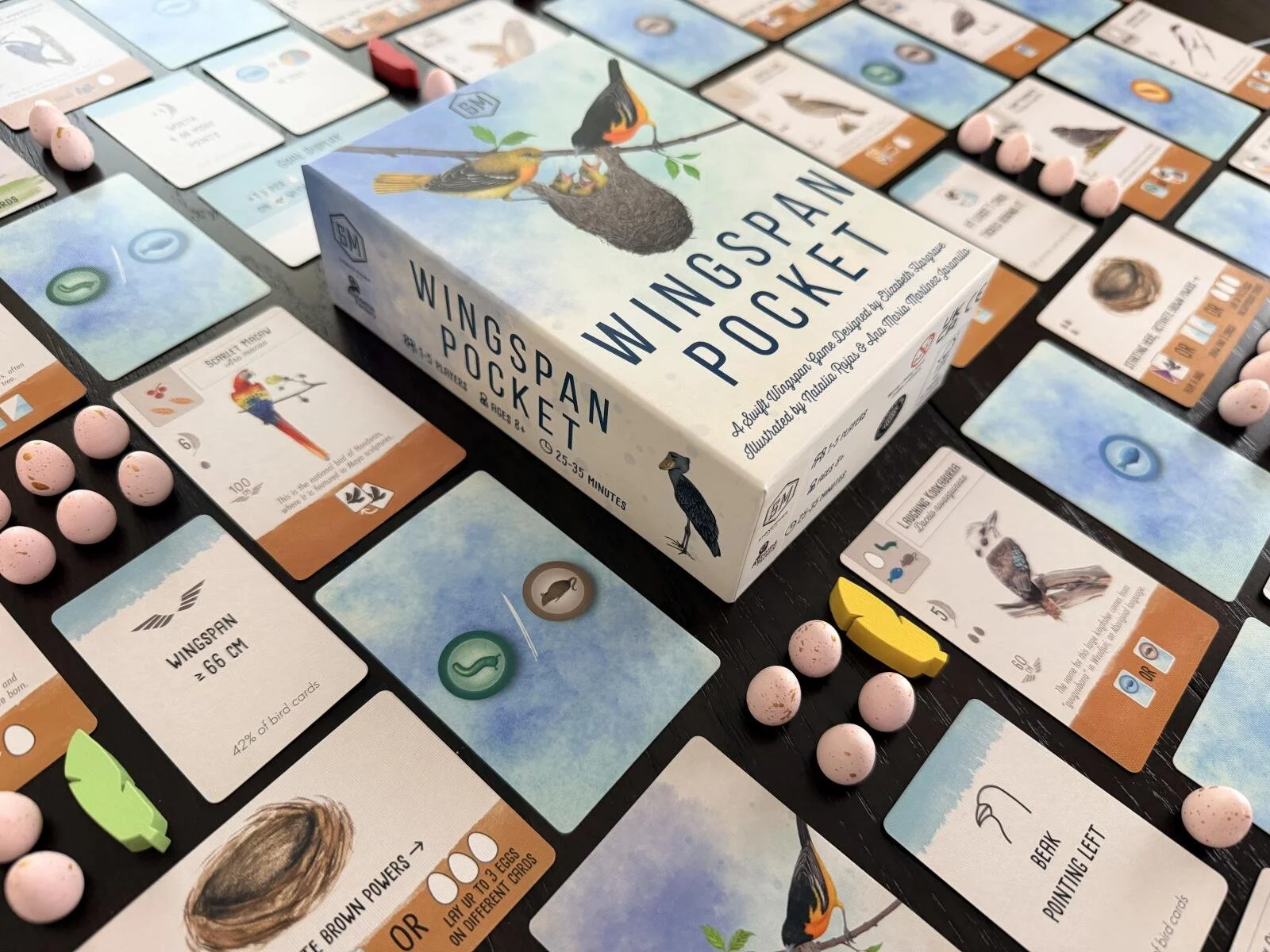 wingspan-pocket-134132_10b35.jpg