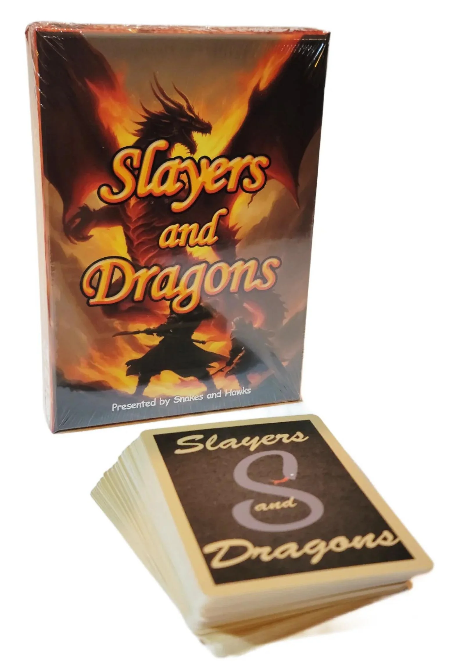 slayers-and-dragons-128963_184b8.jpg
