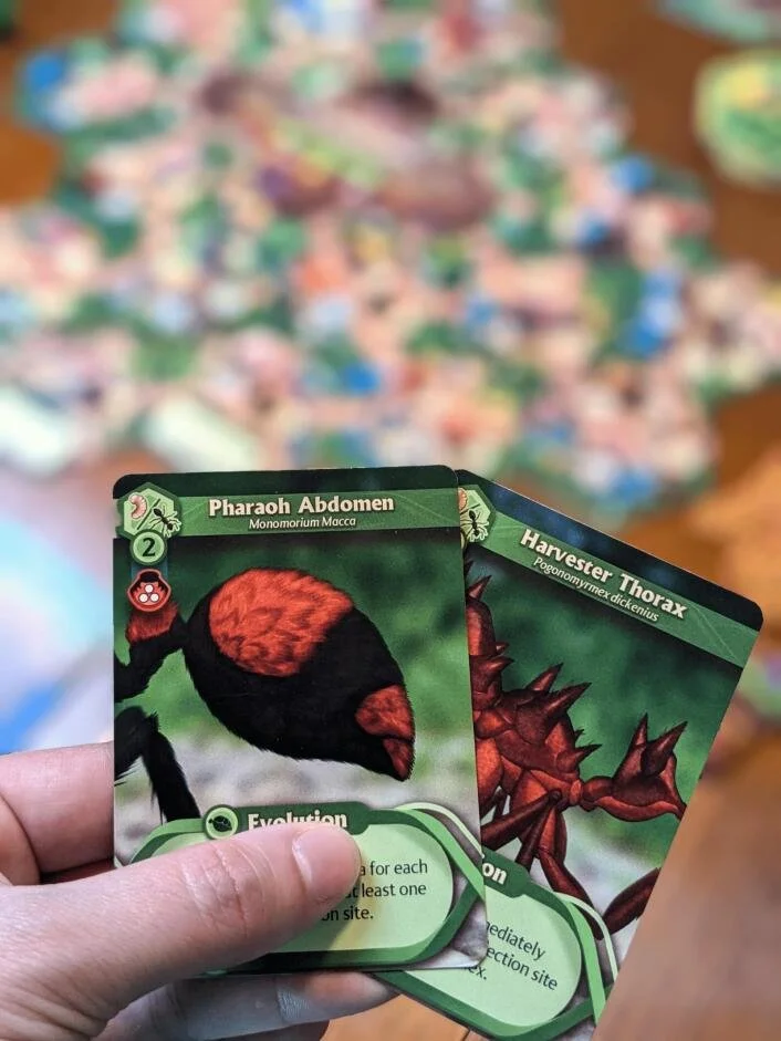 march-of-the-ants-evolved-edition-130460_8ef55.jpg