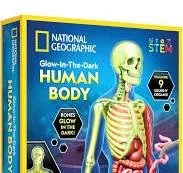 National Geographic Glow-In-The-Dark Human Body