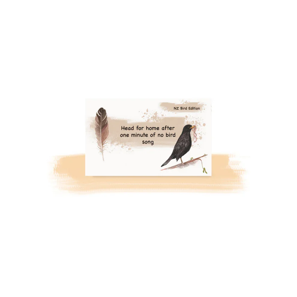 bird.webp