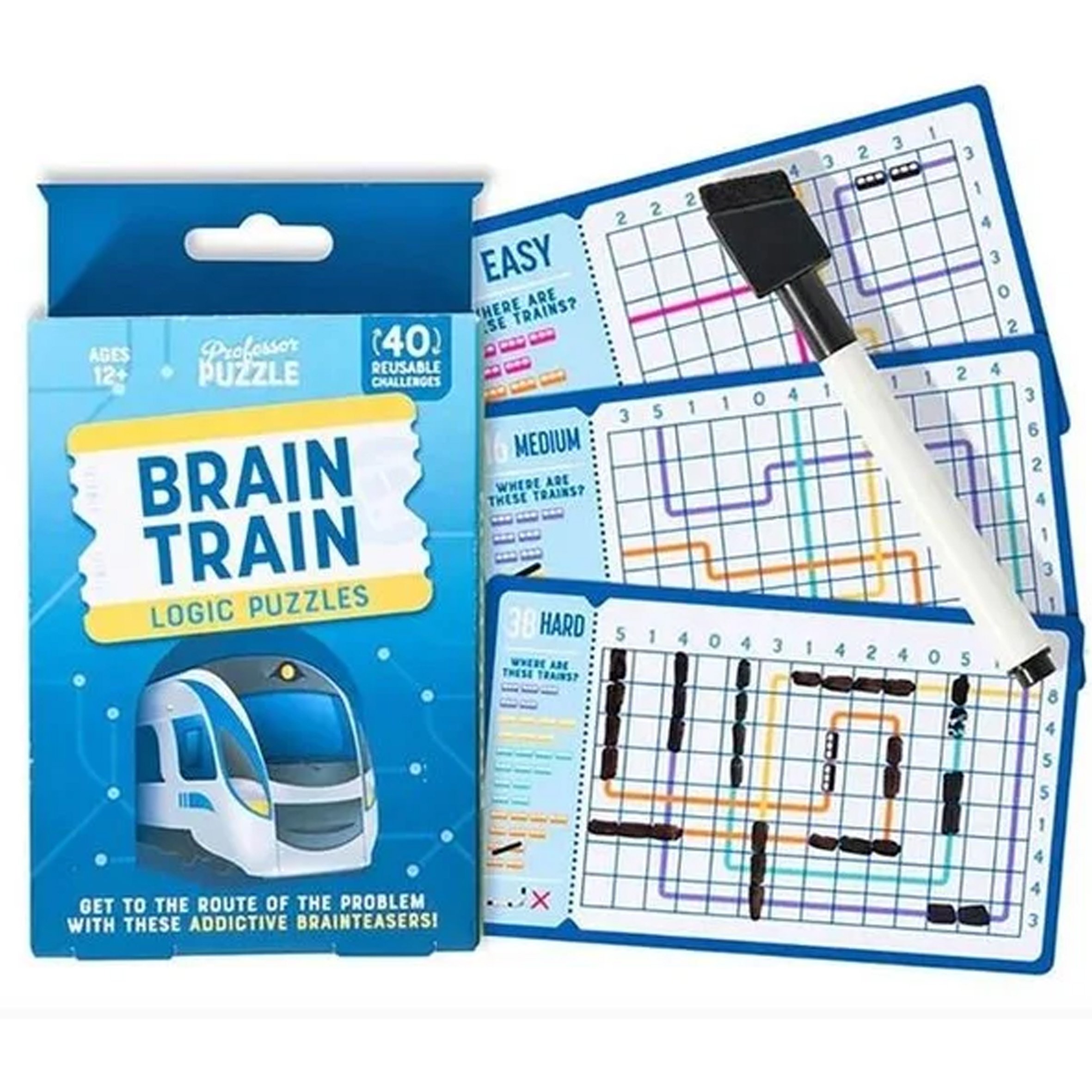 Professor_Puzzle_Brain_Train_Logic_Puzzle_2.jpg