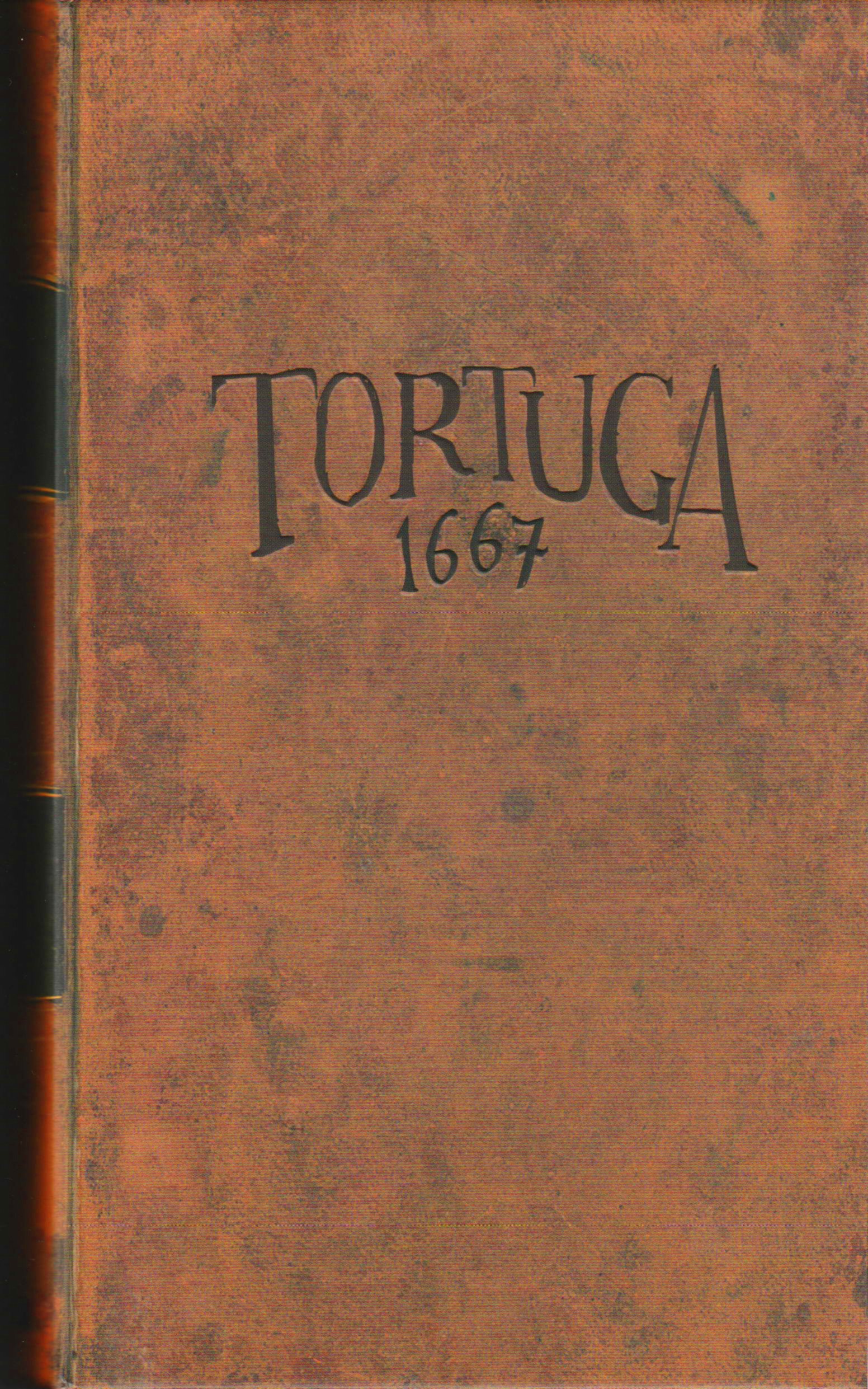 tortuga-1667-57200_cb90c.jpg
