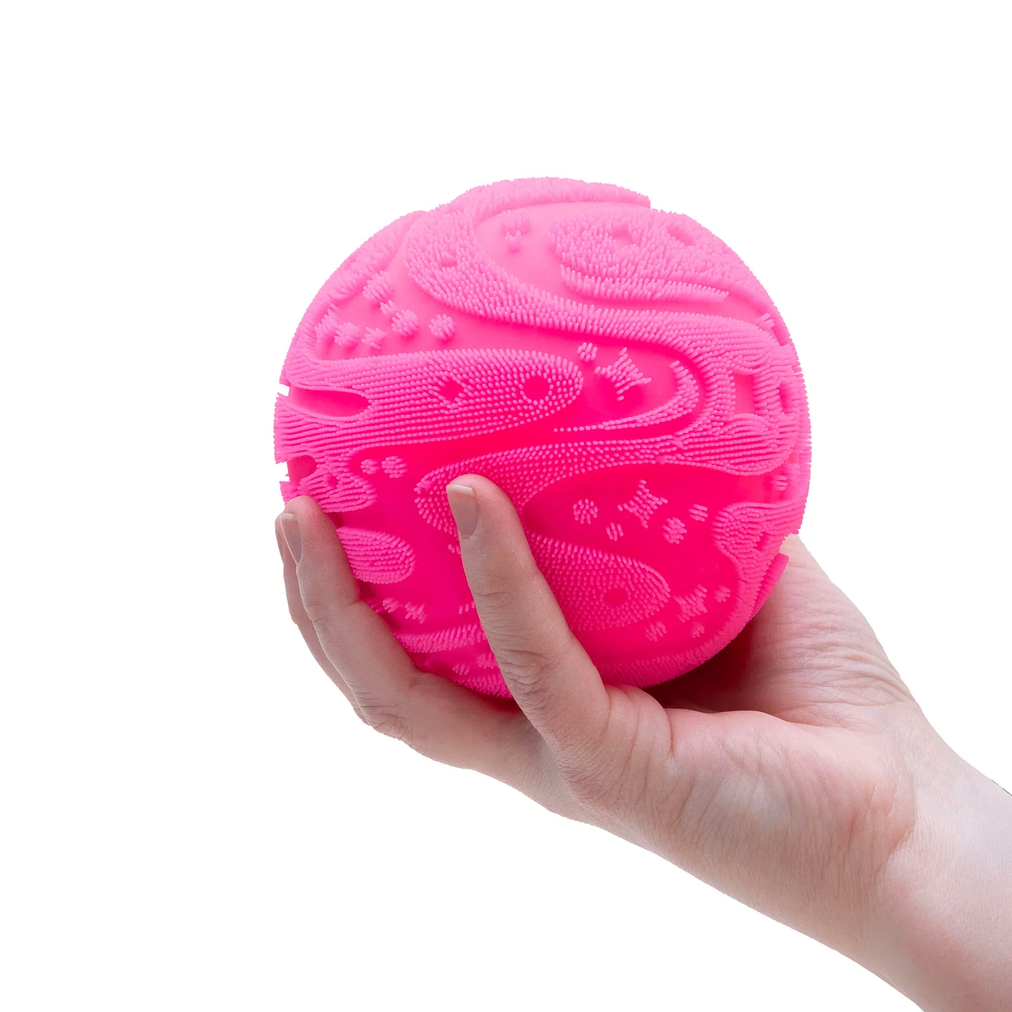 SFZBND_Image3.webp