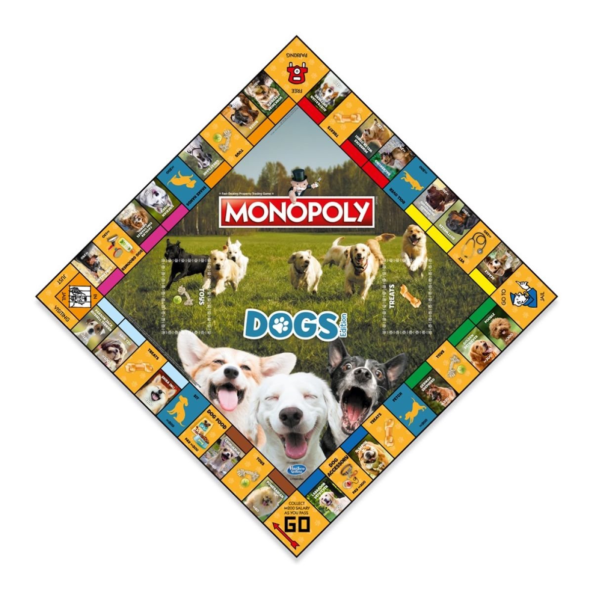 en_boardvisual_dogs_2022_mpystd_1000x1000.jpg