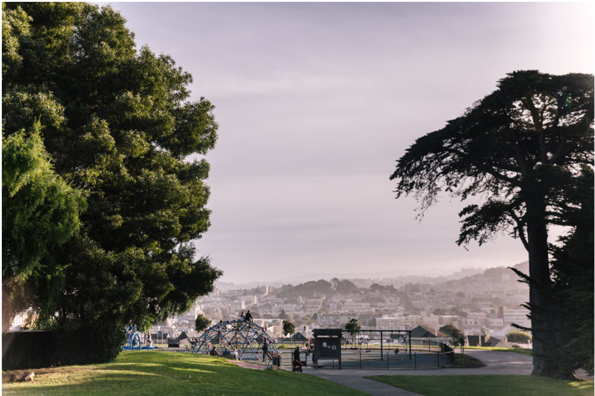 Screen Shot 2020-07-02 at 12.26.35 AM.png