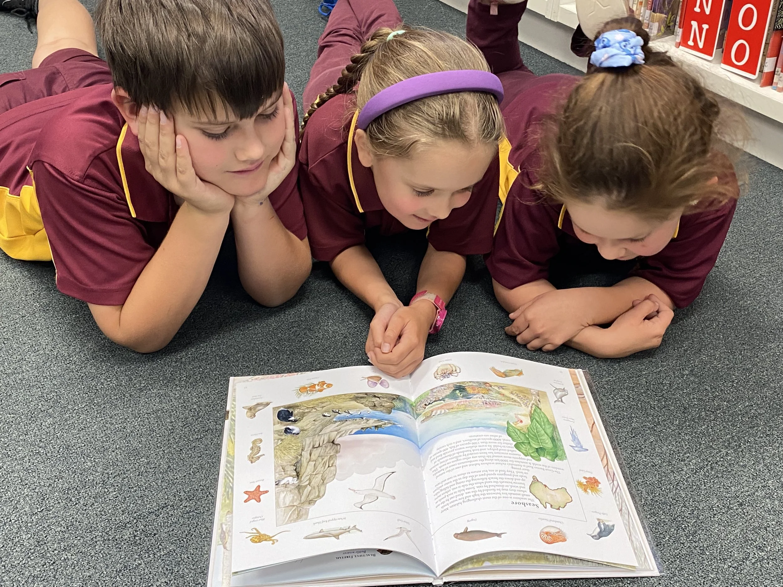 School Spotlight: Mount Tarampa State School, QLD