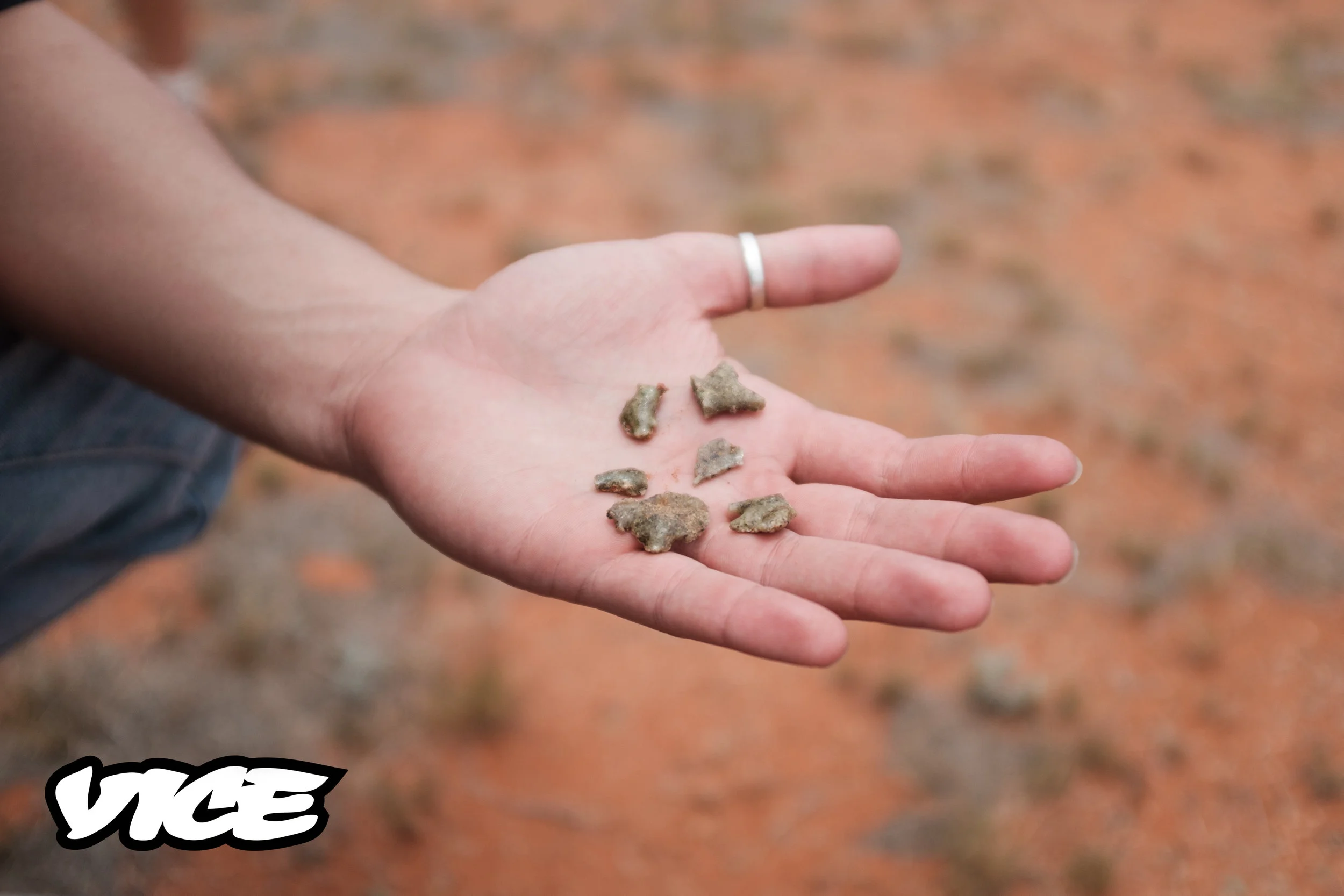NBF-Maralinga-150Vice.jpg
