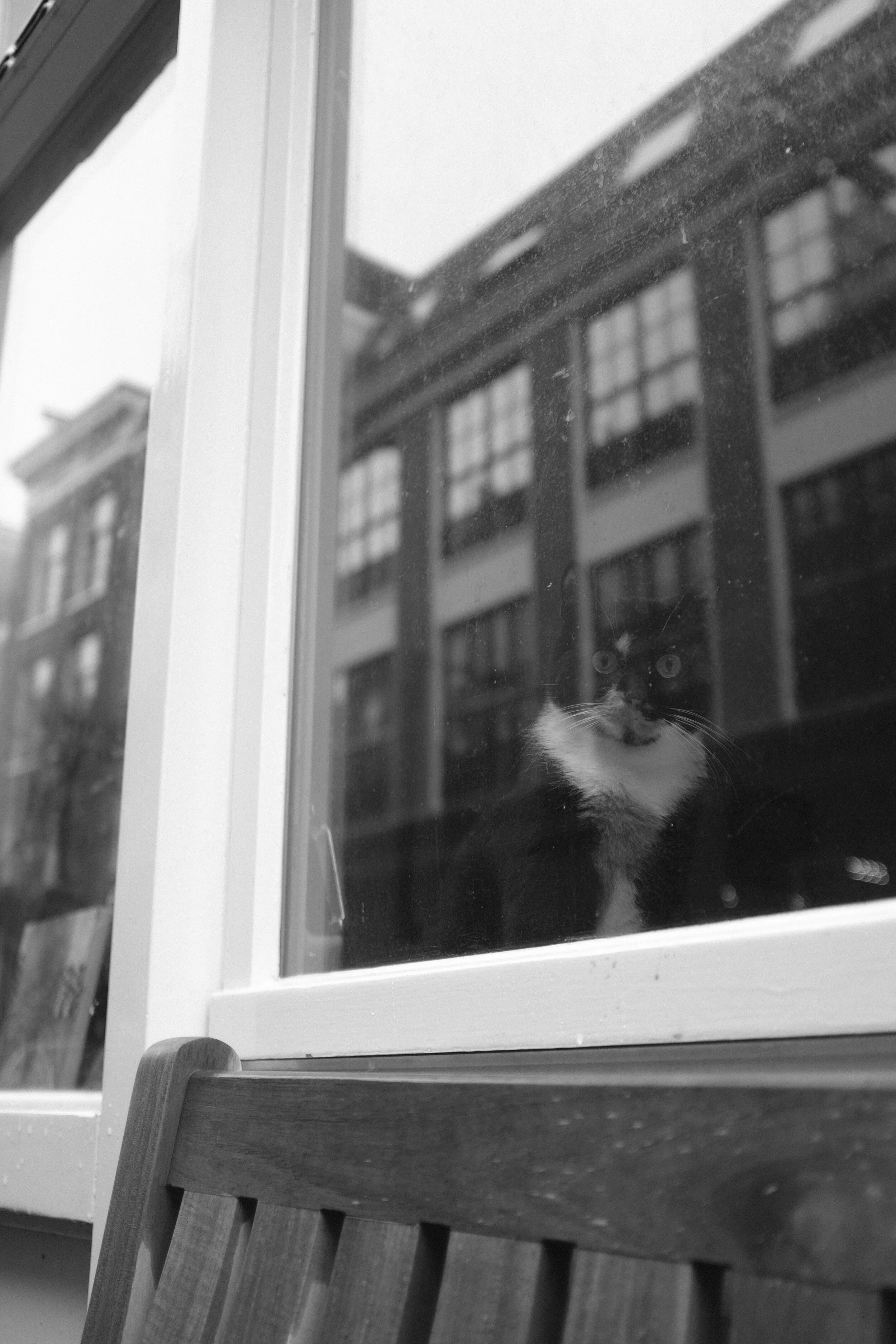 _FUJ5550.JPG