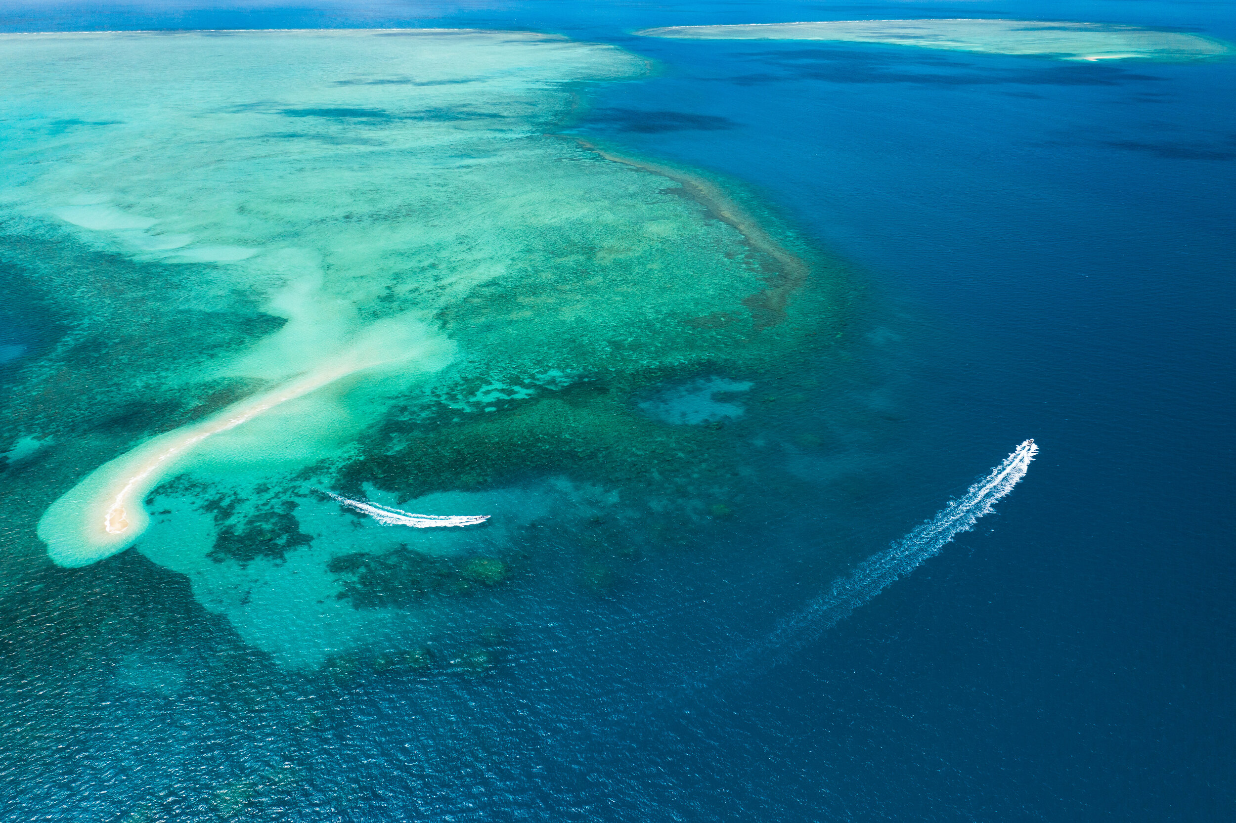 Downunder - East Cape York @aussieflyfisher-0670.jpg